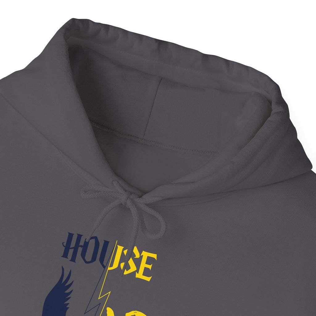 House Divided Rivalry Hoodie- Raven + Badger Wizardcore Couple Hoodie