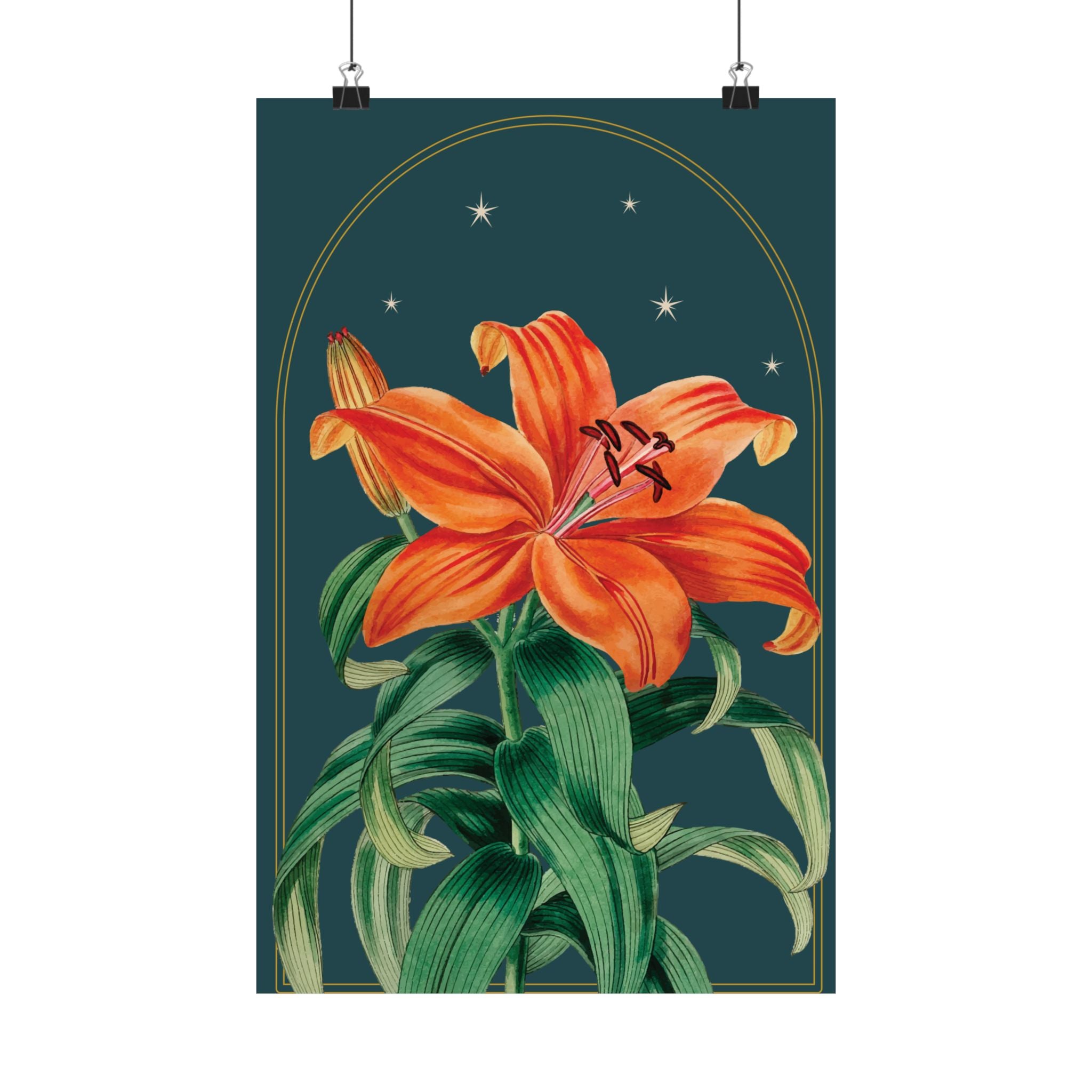 Tiger Lily Botanical Print- 11x17 Vintage Botanical Illustration Wall Art