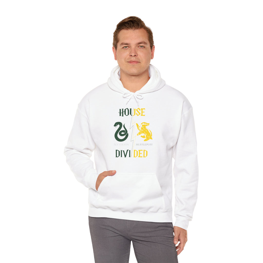 House Divided Hoodie – Slytherin x Hufflepuff | Magical Rivalry Sweatshirt