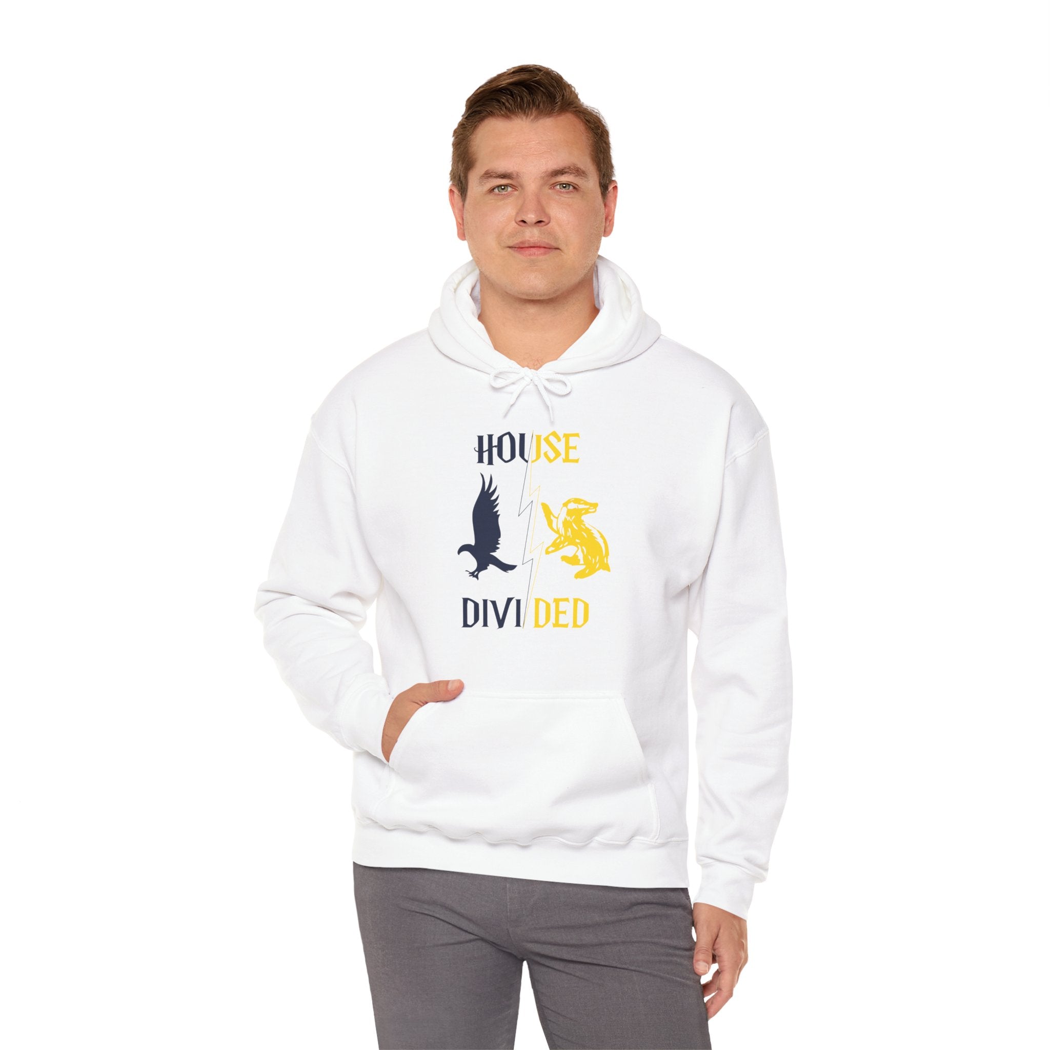 House Divided Rivalry Hoodie- Raven + Badger Wizardcore Couple Hoodie
