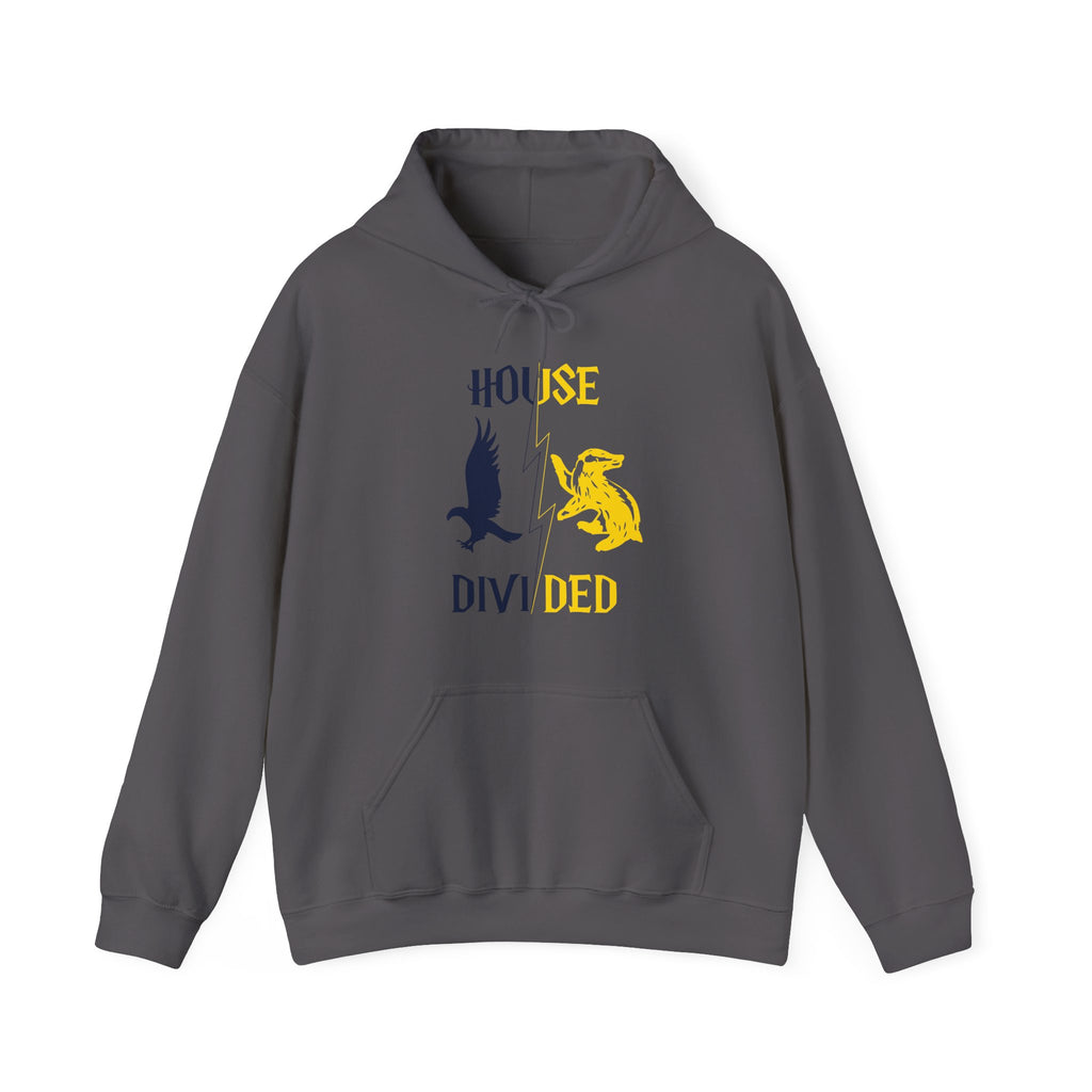 House Divided Rivalry Hoodie- Raven + Badger Wizardcore Couple Hoodie
