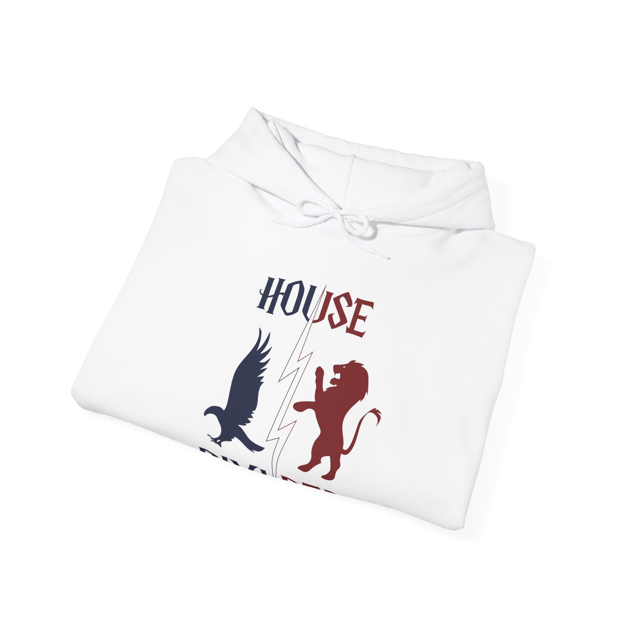House Divided Rivalry Hoodie- Raven + Lion Wizardcore Couple Hoodie
