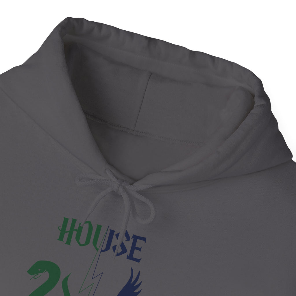 House Divided Rivalry Hoodie- Serpent + Raven Wizardcore Couple Hoodie
