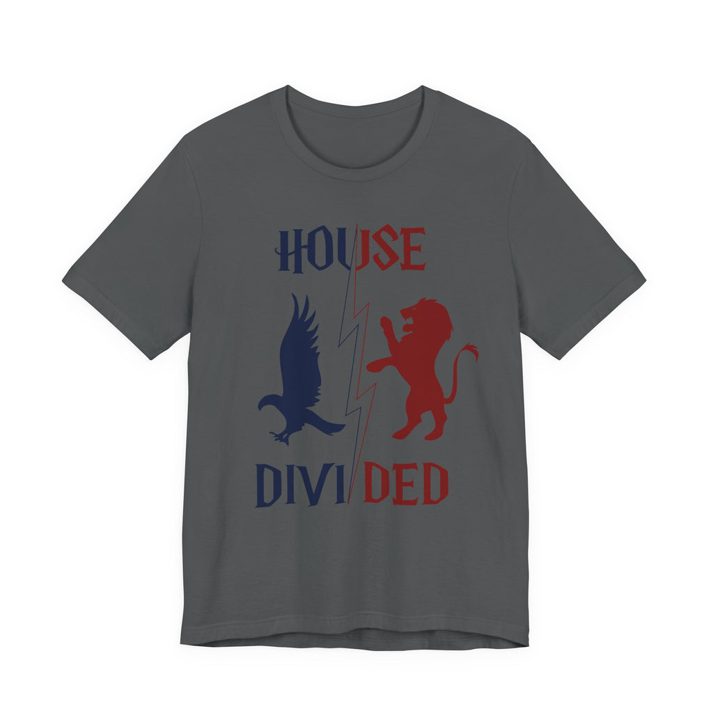 House Divided Rivalry Shirt- Lion + Raven Wizardcore Couple Tee