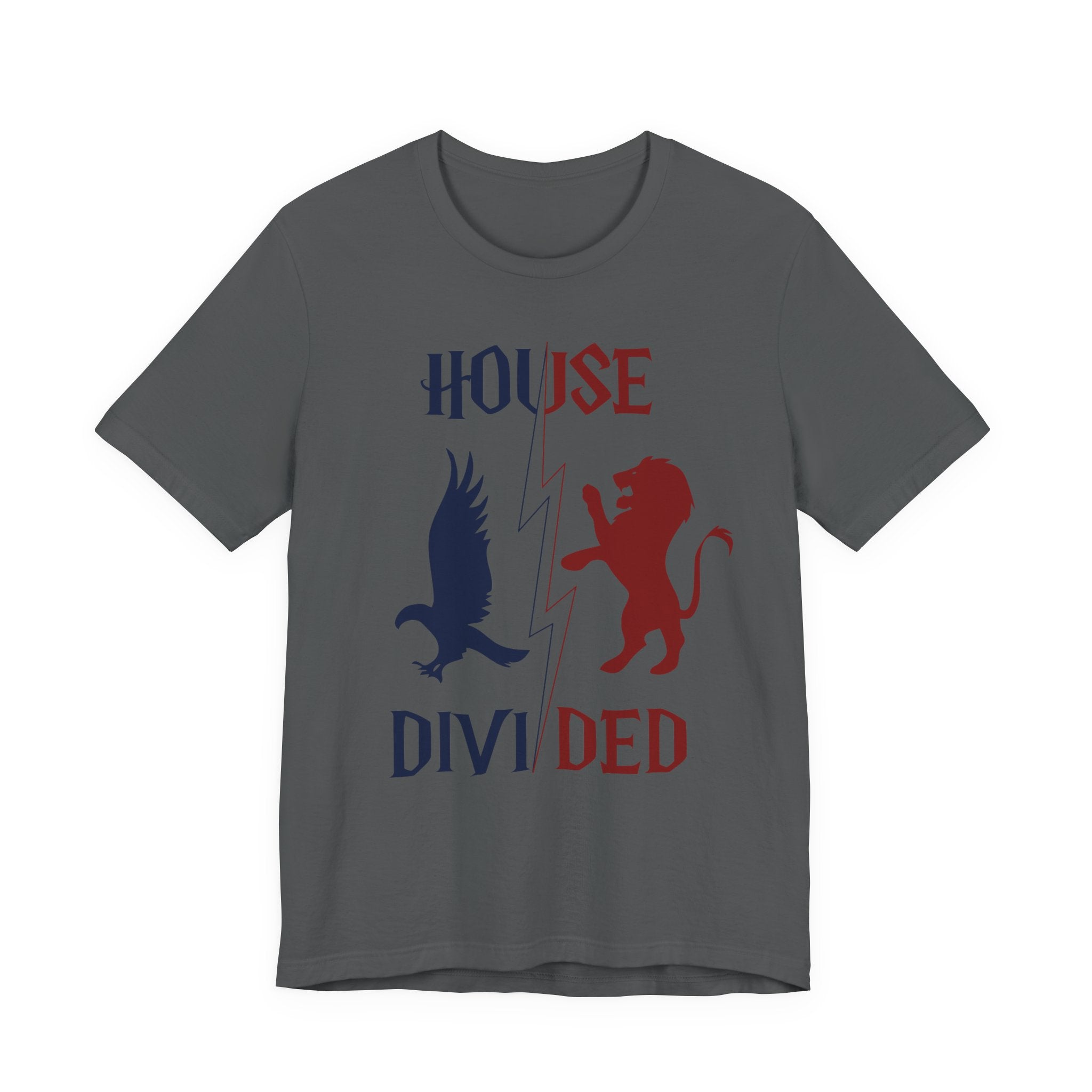 House Divided Rivalry Shirt- Lion + Raven Wizardcore Couple Tee