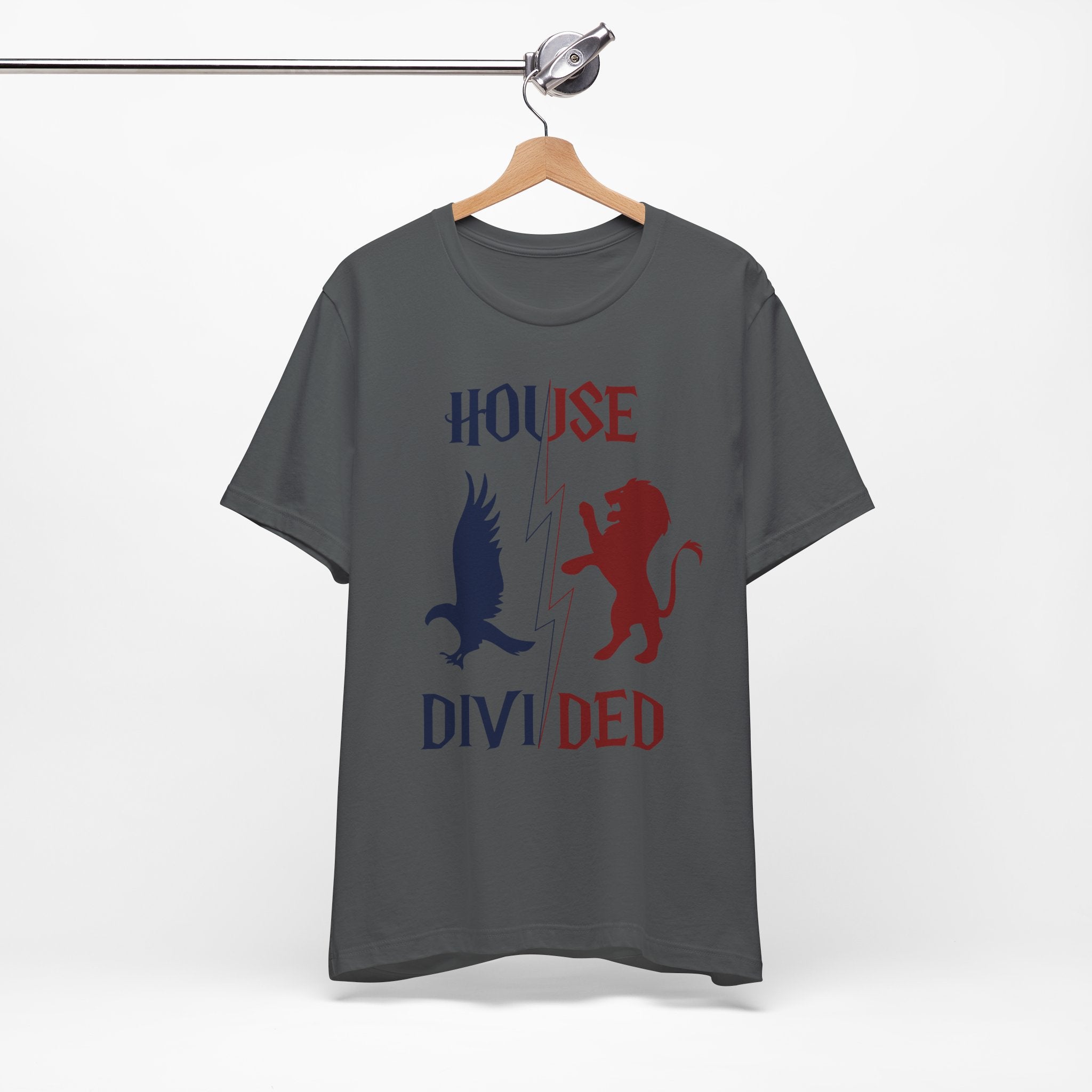 House Divided Rivalry Shirt- Lion + Raven Wizardcore Couple Tee