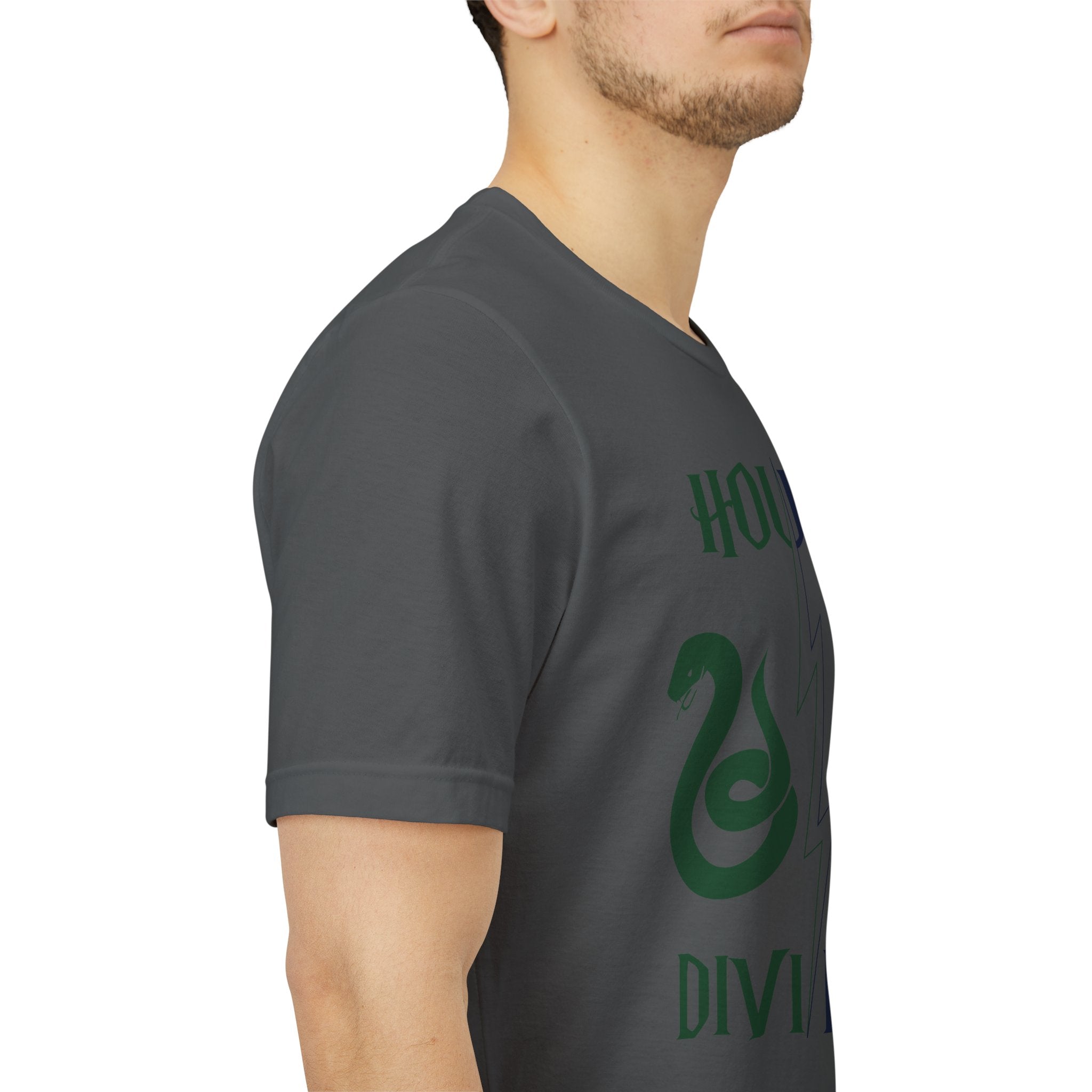 House Divided Rivalry Shirt- Serpent + Raven Wizardcore Couple Tee