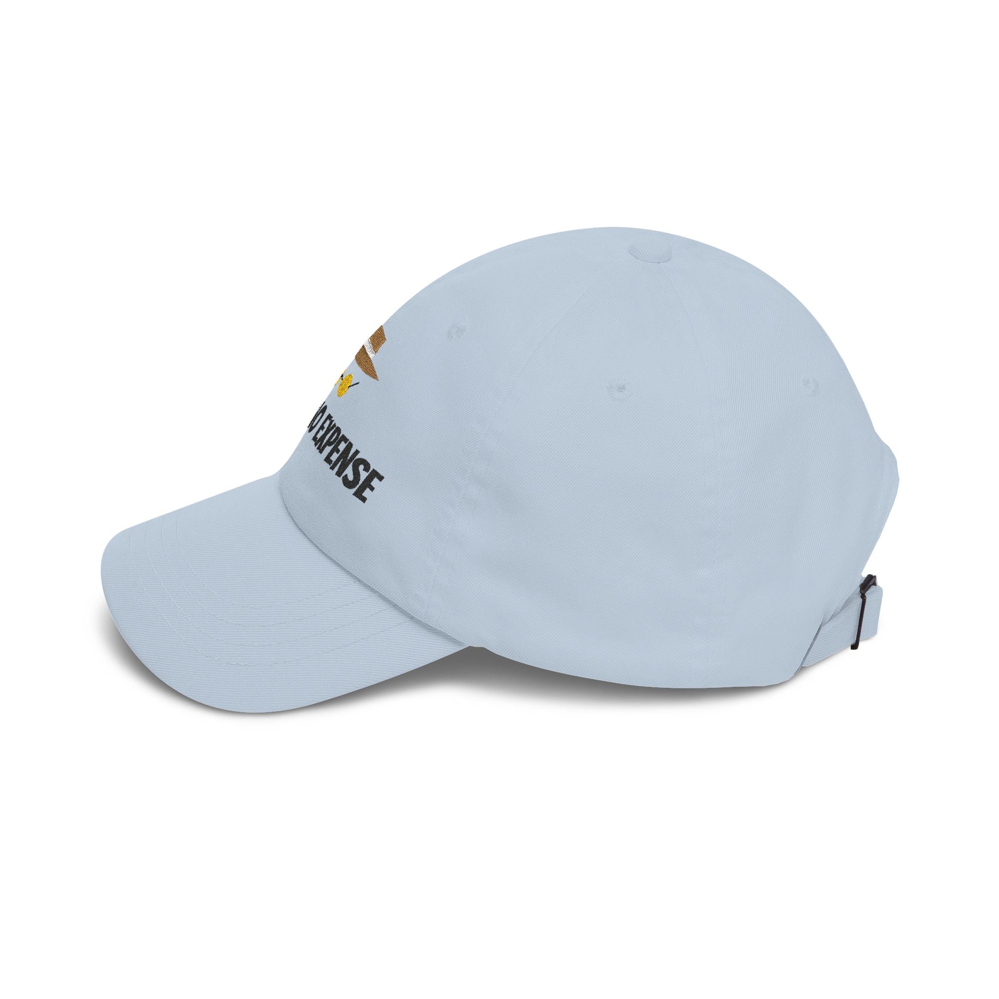 Spared No Expense Hat- Embroidered Jurassic Inspired Dad Cap, Theme Park Outfit Hat