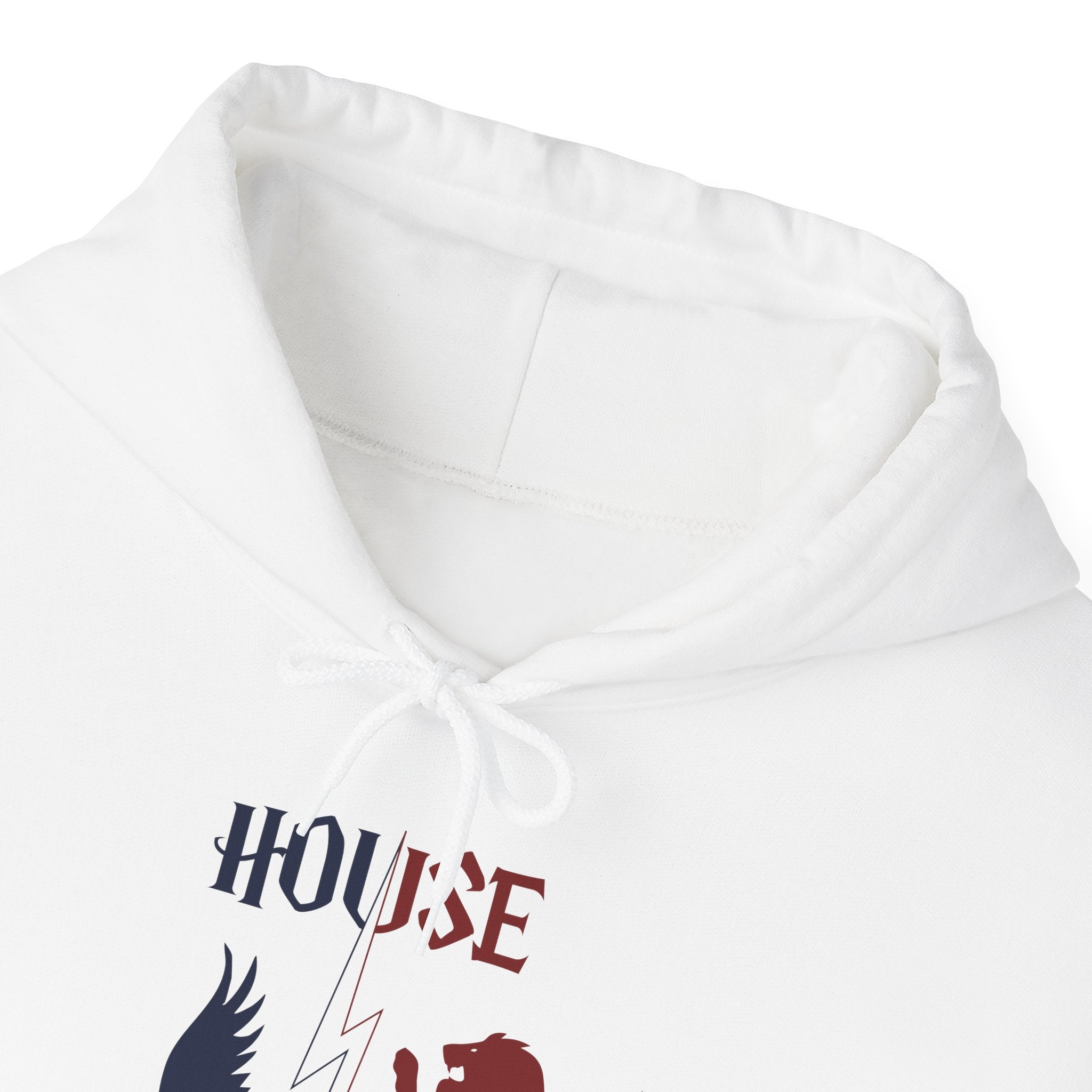 House Divided Rivalry Hoodie- Raven + Lion Wizardcore Couple Hoodie
