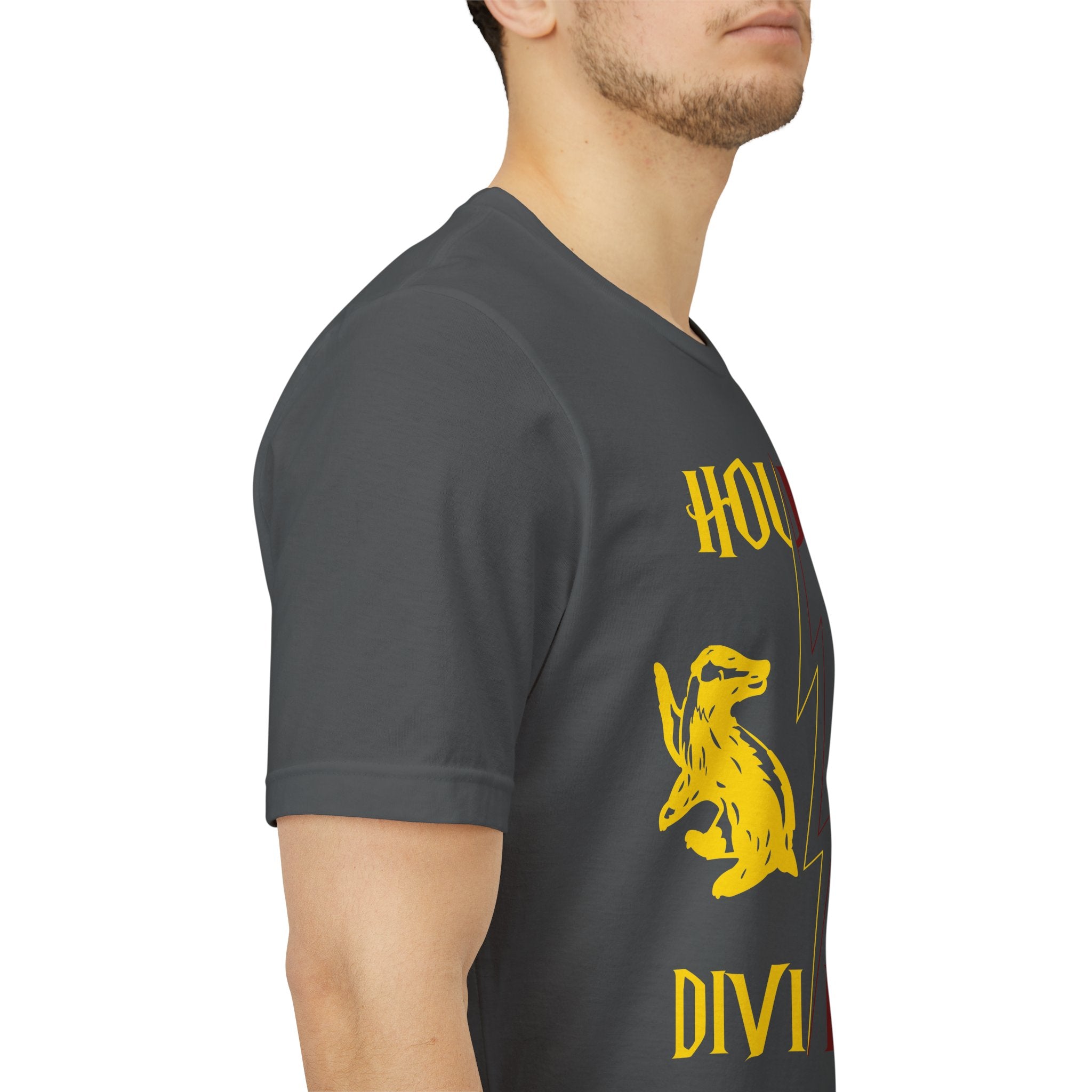 House Divided Rivalry Shirt- Lion + Badger Wizardcore Couple Tee