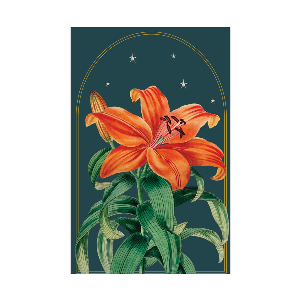Tiger Lily Botanical Print- 11x17 Vintage Botanical Illustration Wall Art