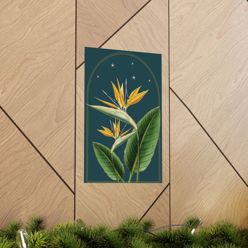 Bird of Paradise Botanical Print- 11x17 Vintage Botanical Illustration Wall Art