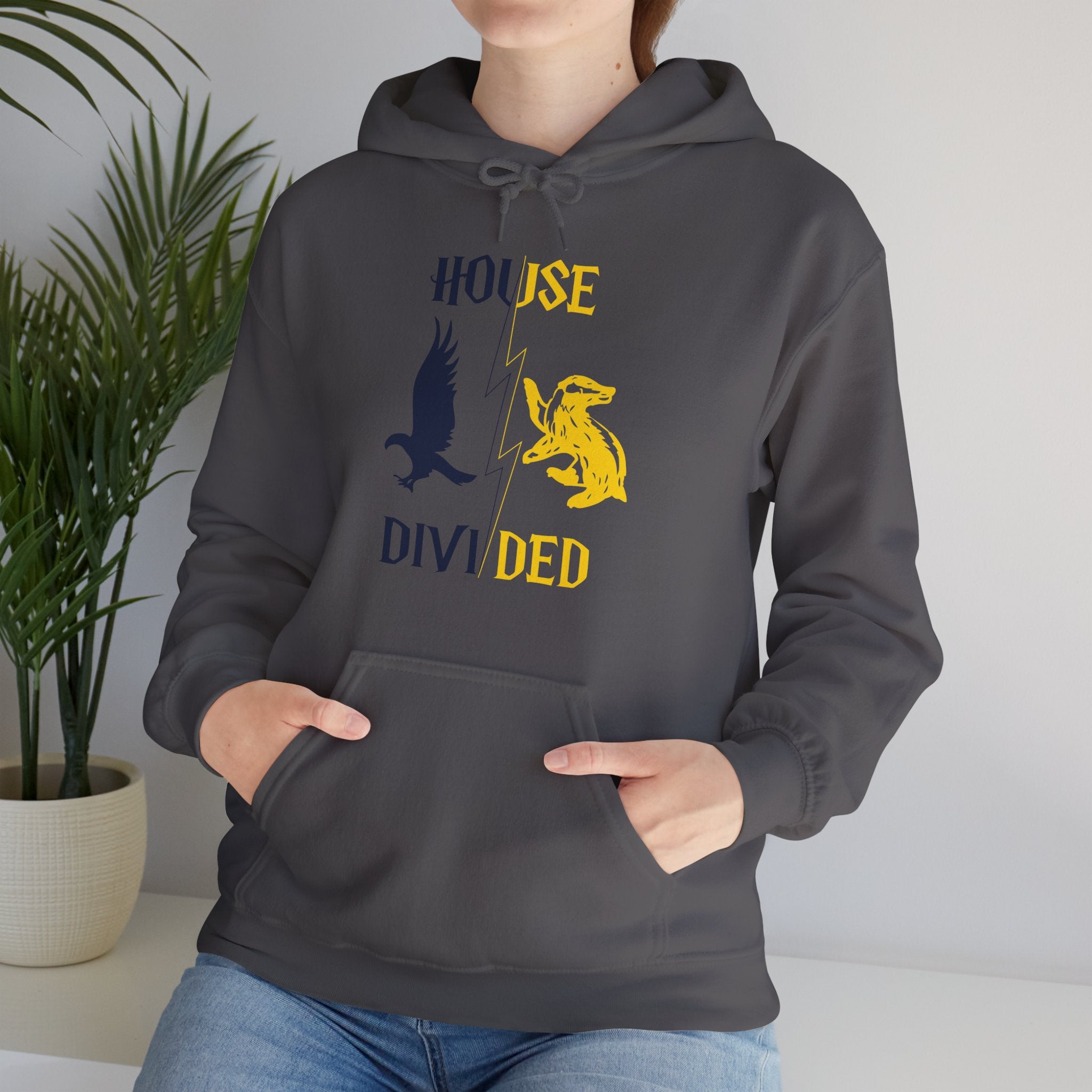House Divided Rivalry Hoodie- Raven + Badger Wizardcore Couple Hoodie