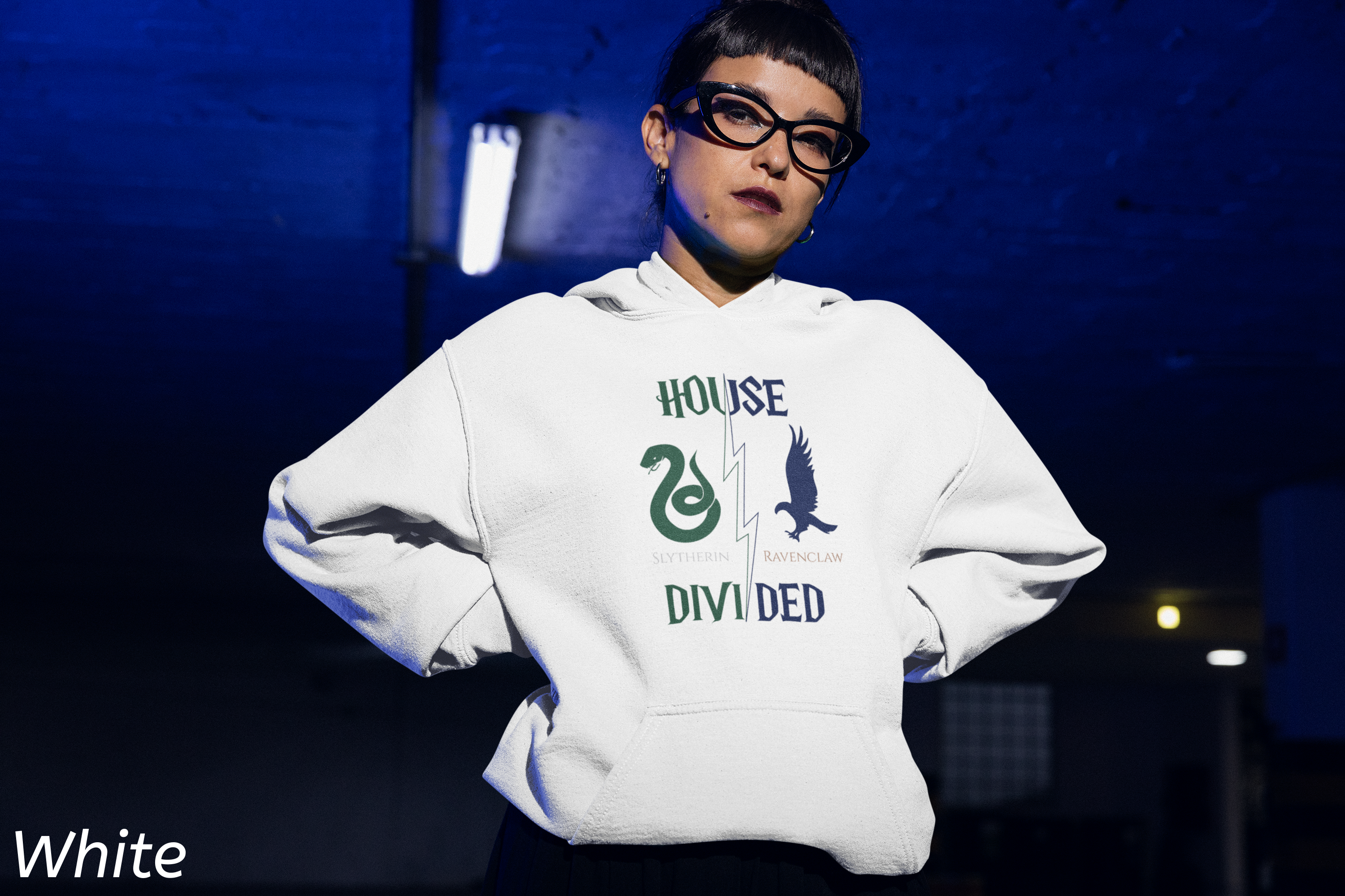 House Divided Hoodie – Ravenclaw x Slytherin | Magical Rivalry Sweatshirt