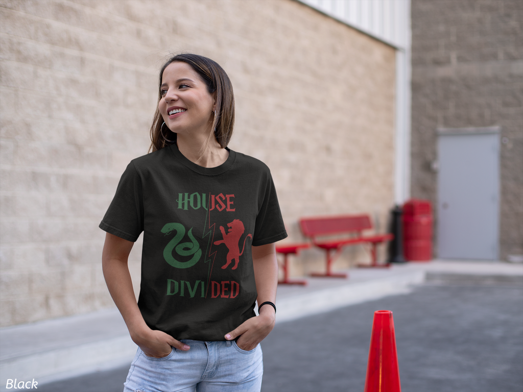 House Divided Rivalry Shirt- Serpent + Lion Wizardcore Couple Tee