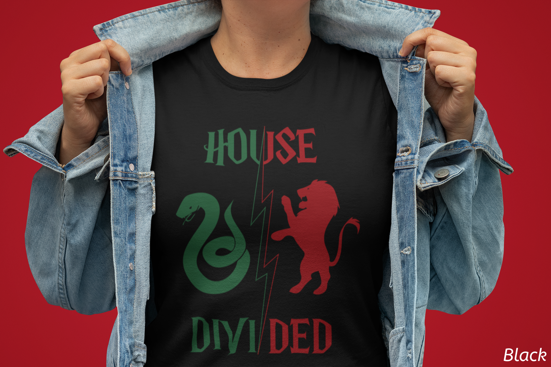 House Divided Rivalry Shirt- Serpent + Lion Wizardcore Couple Tee