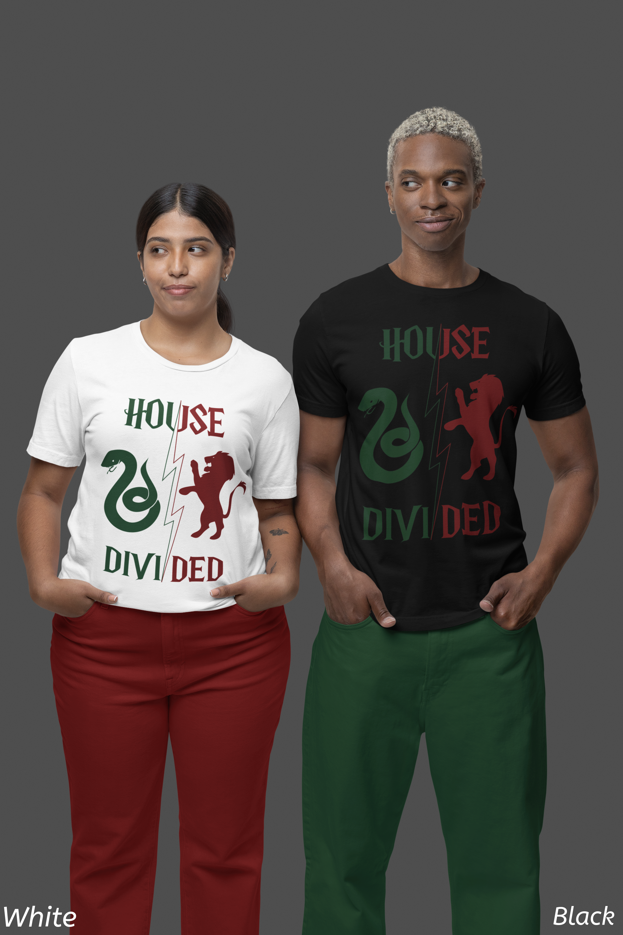 House Divided Rivalry Shirt- Serpent + Lion Wizardcore Couple Tee