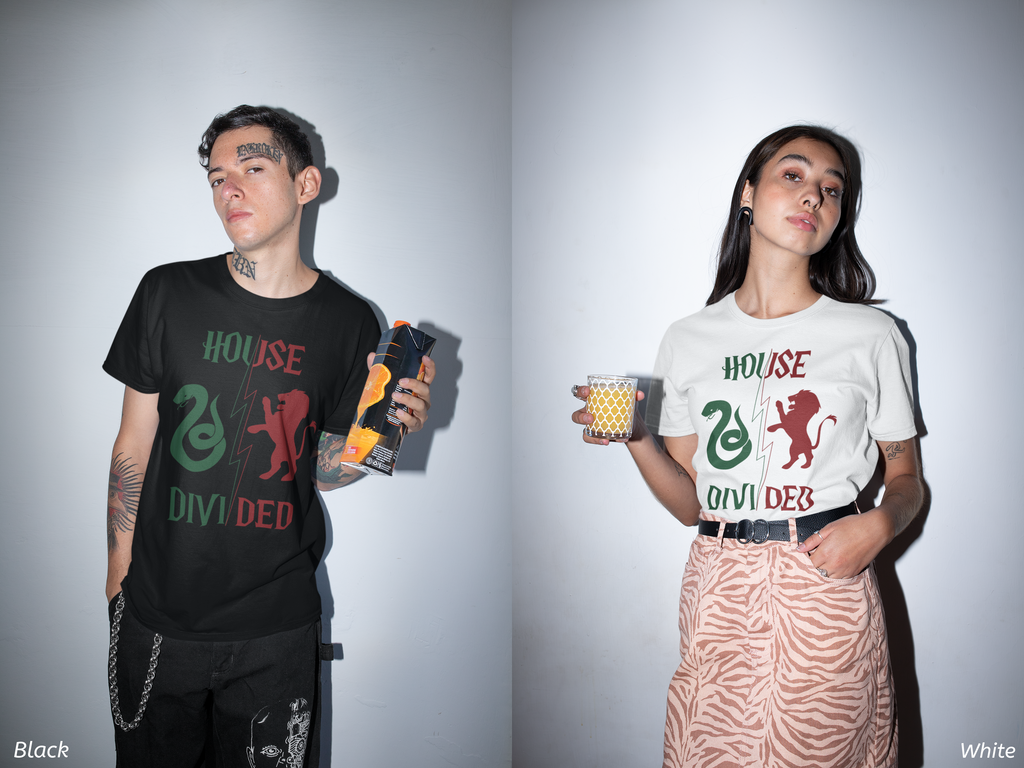 House Divided Rivalry Shirt- Serpent + Lion Wizardcore Couple Tee