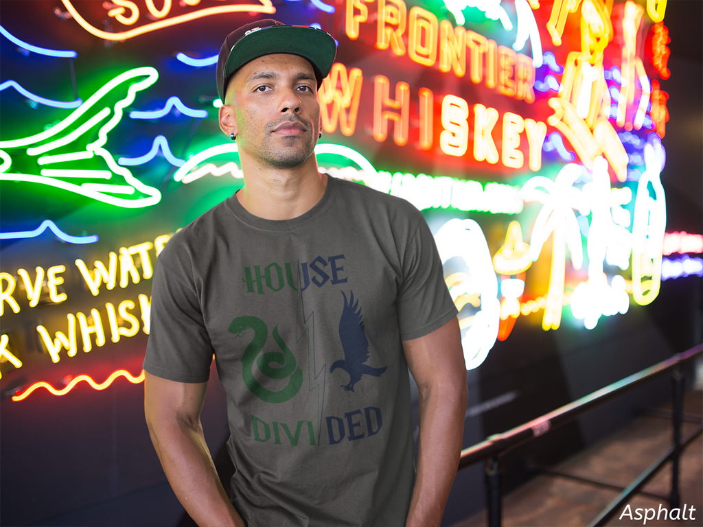 House Divided Rivalry Shirt- Serpent + Raven Wizardcore Couple Tee