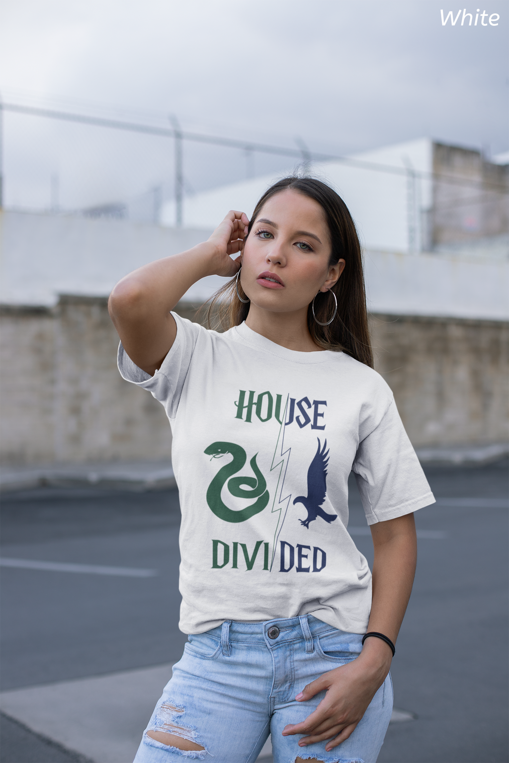 House Divided Rivalry Shirt- Serpent + Raven Wizardcore Couple Tee