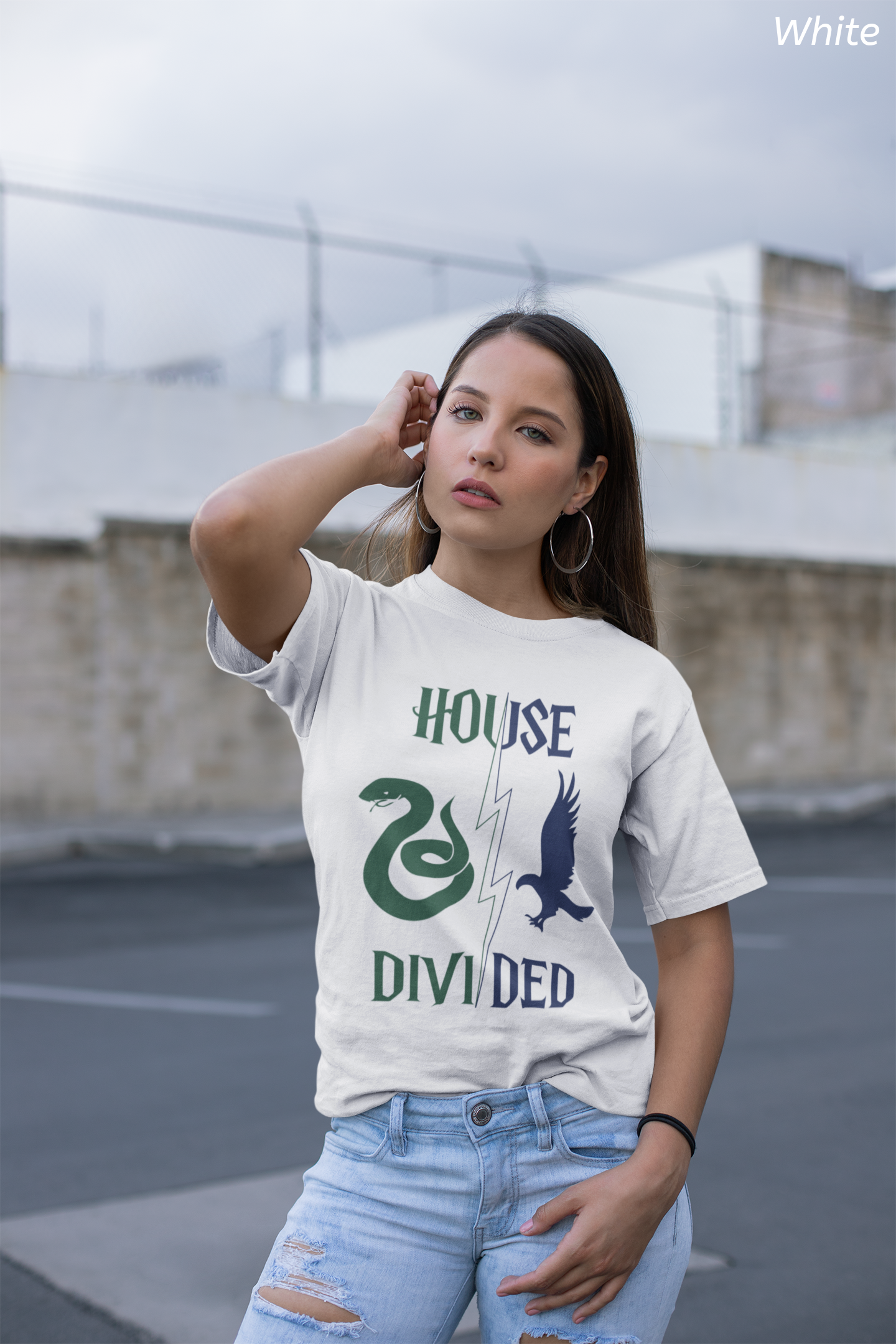House Divided Rivalry Shirt- Serpent + Raven Wizardcore Couple Tee