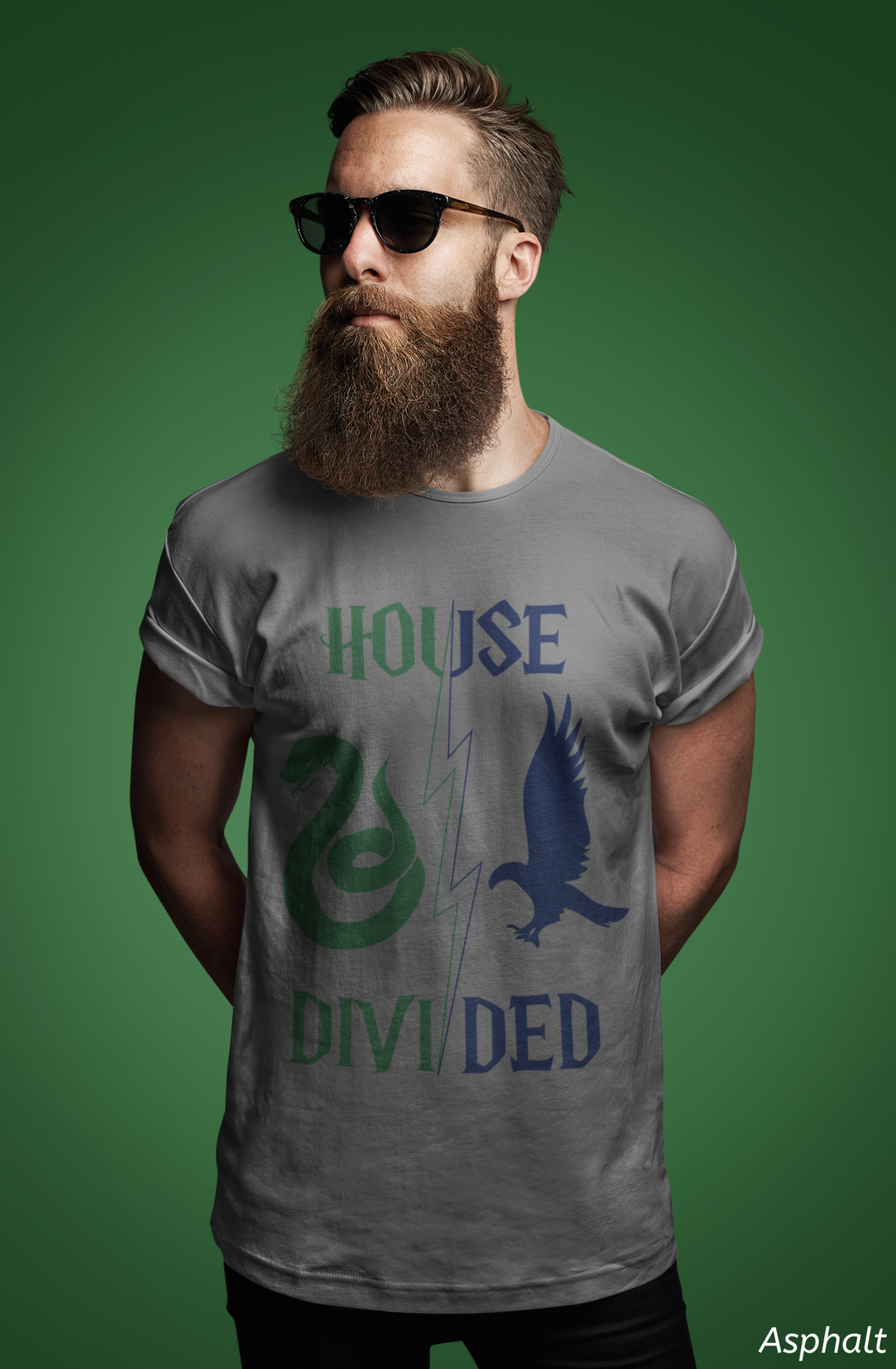 House Divided Rivalry Shirt- Serpent + Raven Wizardcore Couple Tee