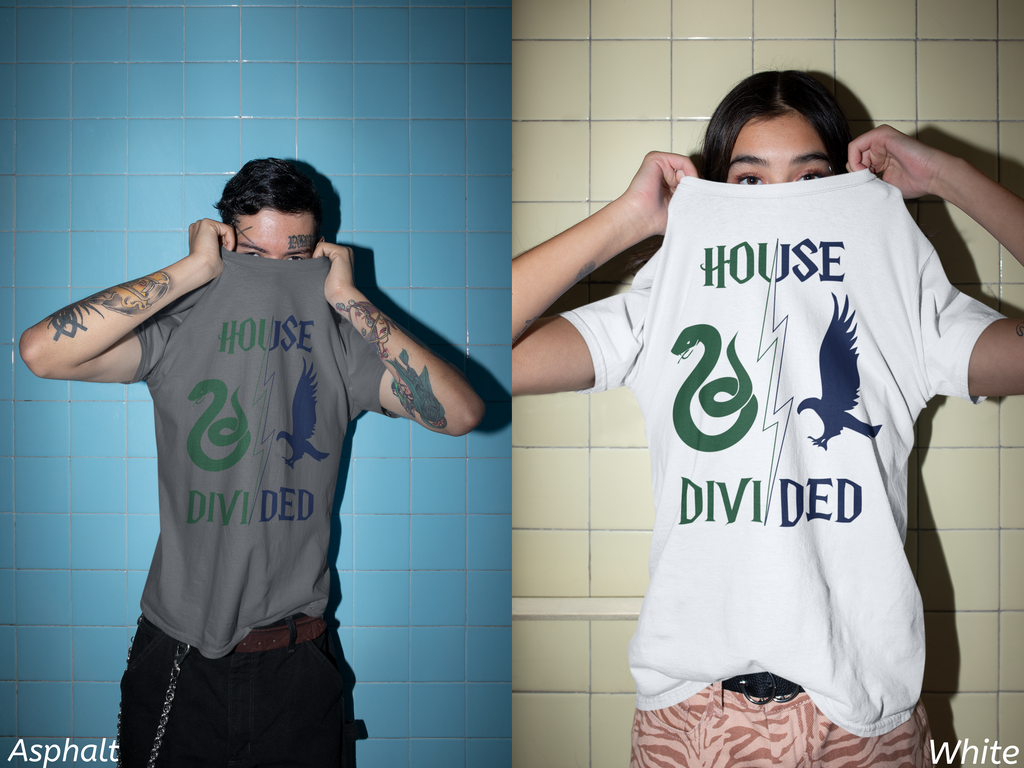 House Divided Rivalry Shirt- Serpent + Raven Wizardcore Couple Tee