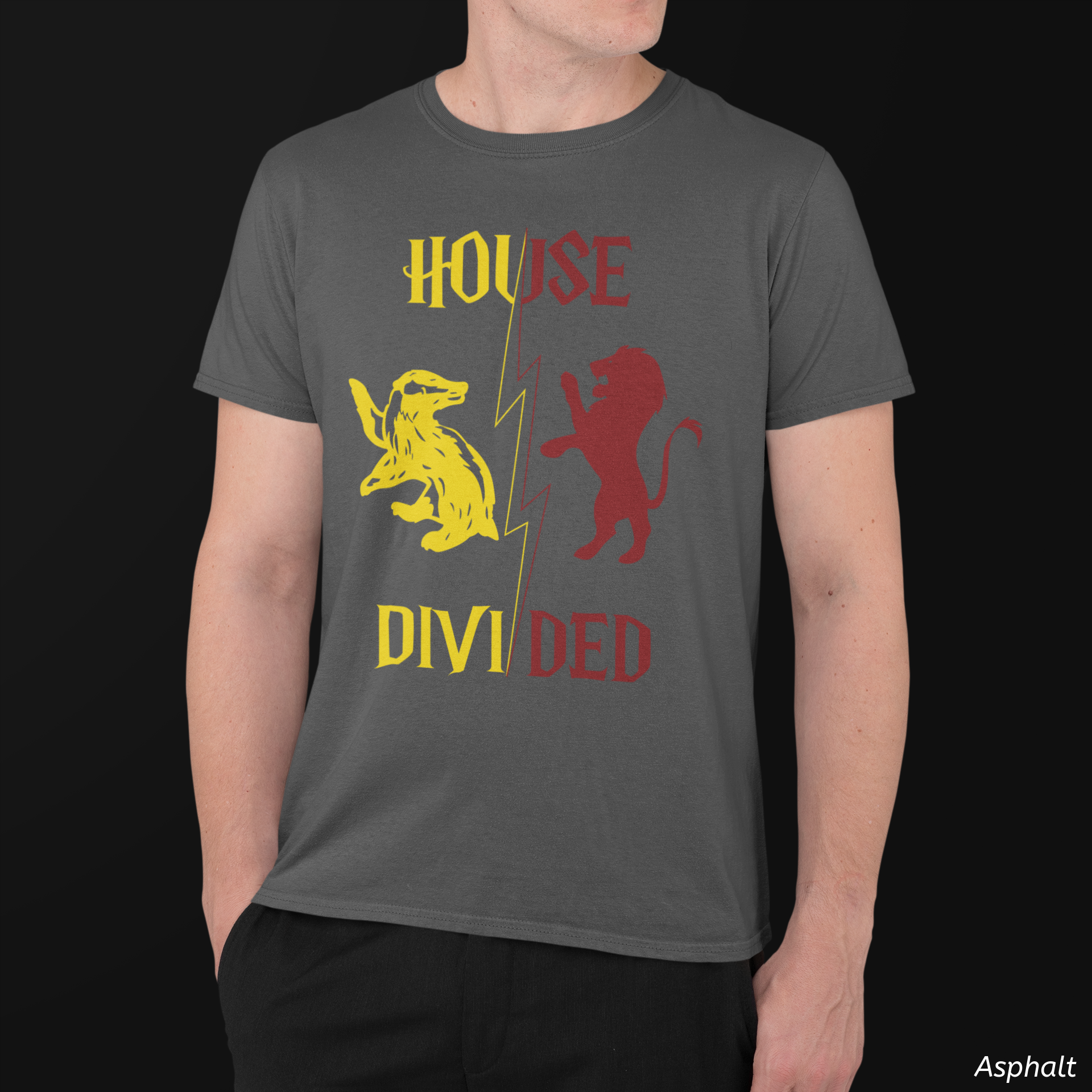 House Divided Rivalry Shirt- Lion + Badger Wizardcore Couple Tee
