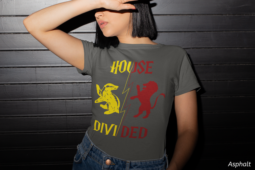 House Divided Rivalry Shirt- Lion + Badger Wizardcore Couple Tee