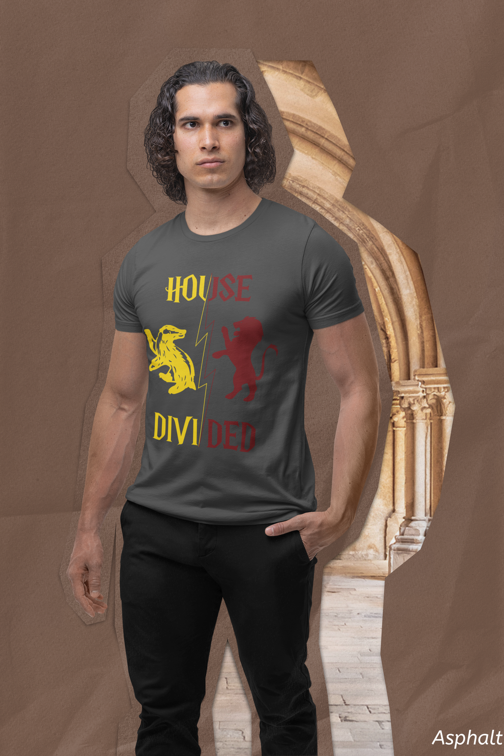 House Divided Rivalry Shirt- Lion + Badger Wizardcore Couple Tee