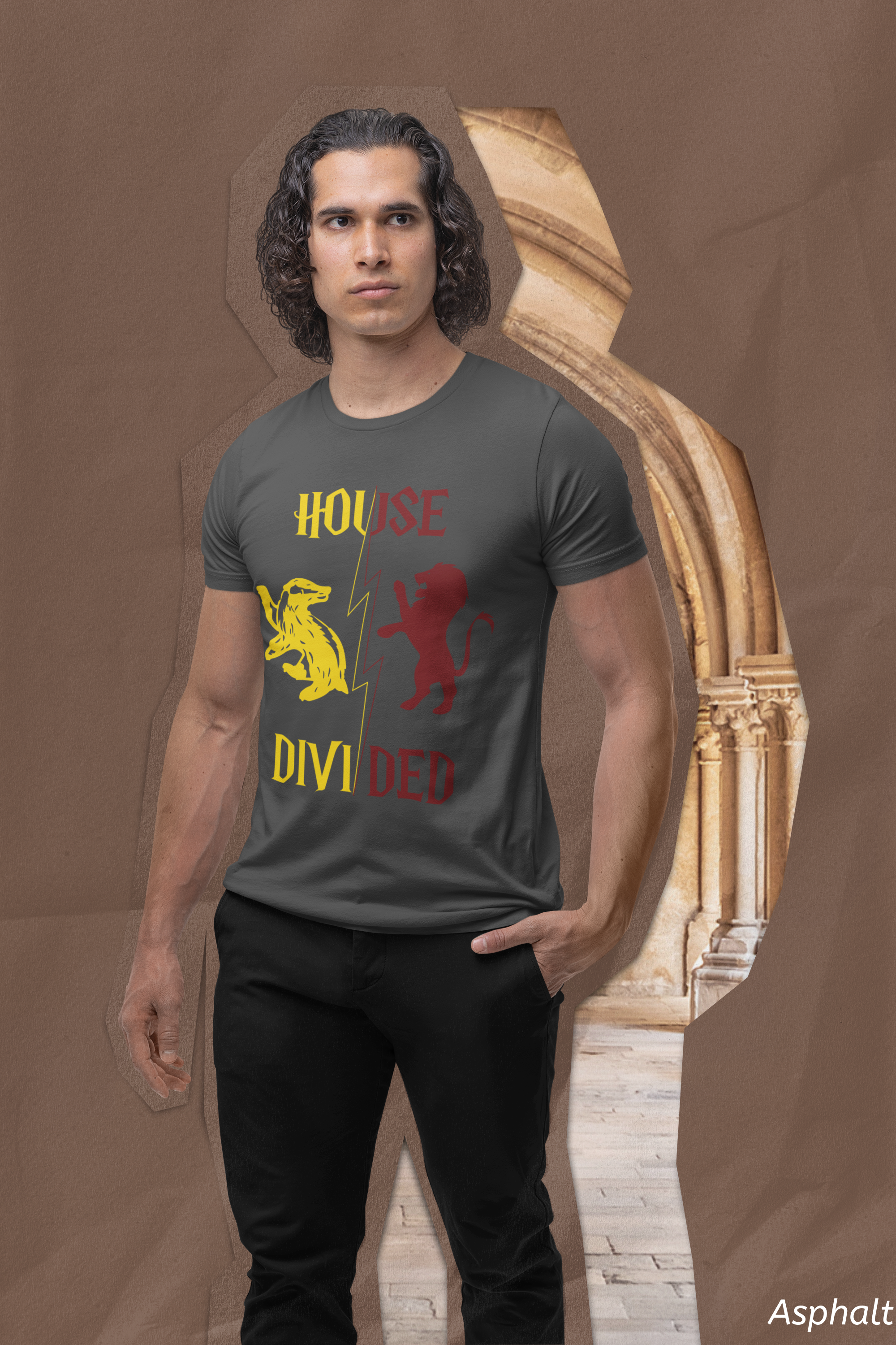 House Divided Rivalry Shirt- Lion + Badger Wizardcore Couple Tee