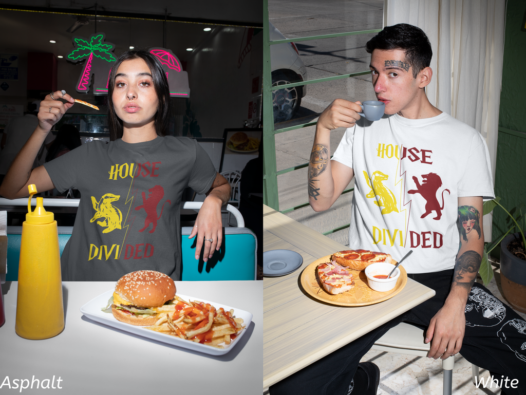 House Divided Rivalry Shirt- Lion + Badger Wizardcore Couple Tee