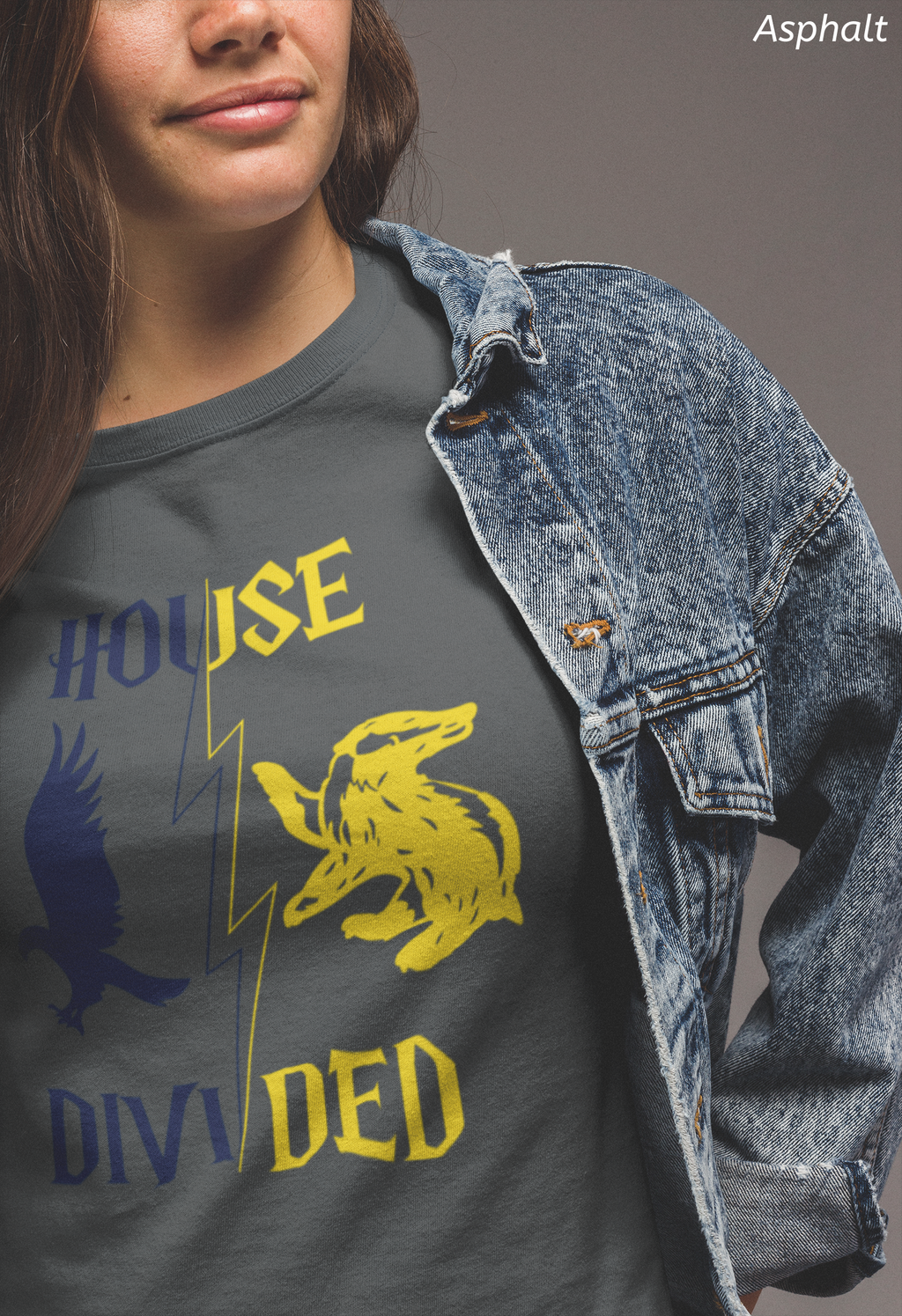 House Divided Rivalry Shirt- Raven + Badger Wizardcore Couple Tee