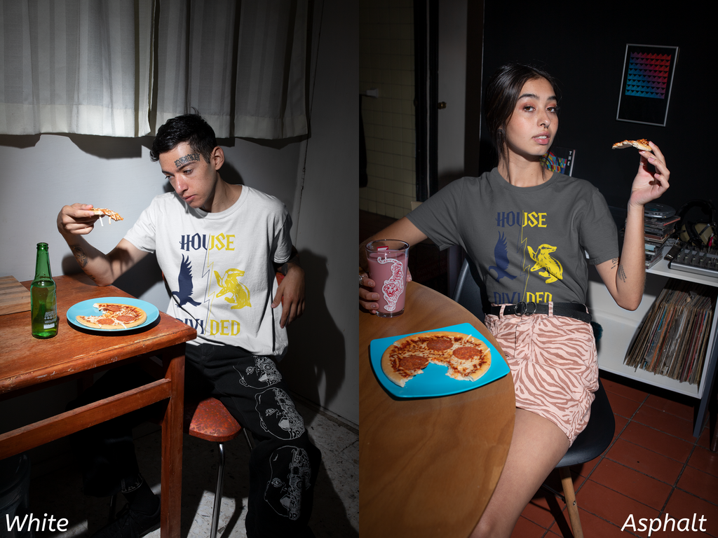 House Divided Rivalry Shirt- Raven + Badger Wizardcore Couple Tee