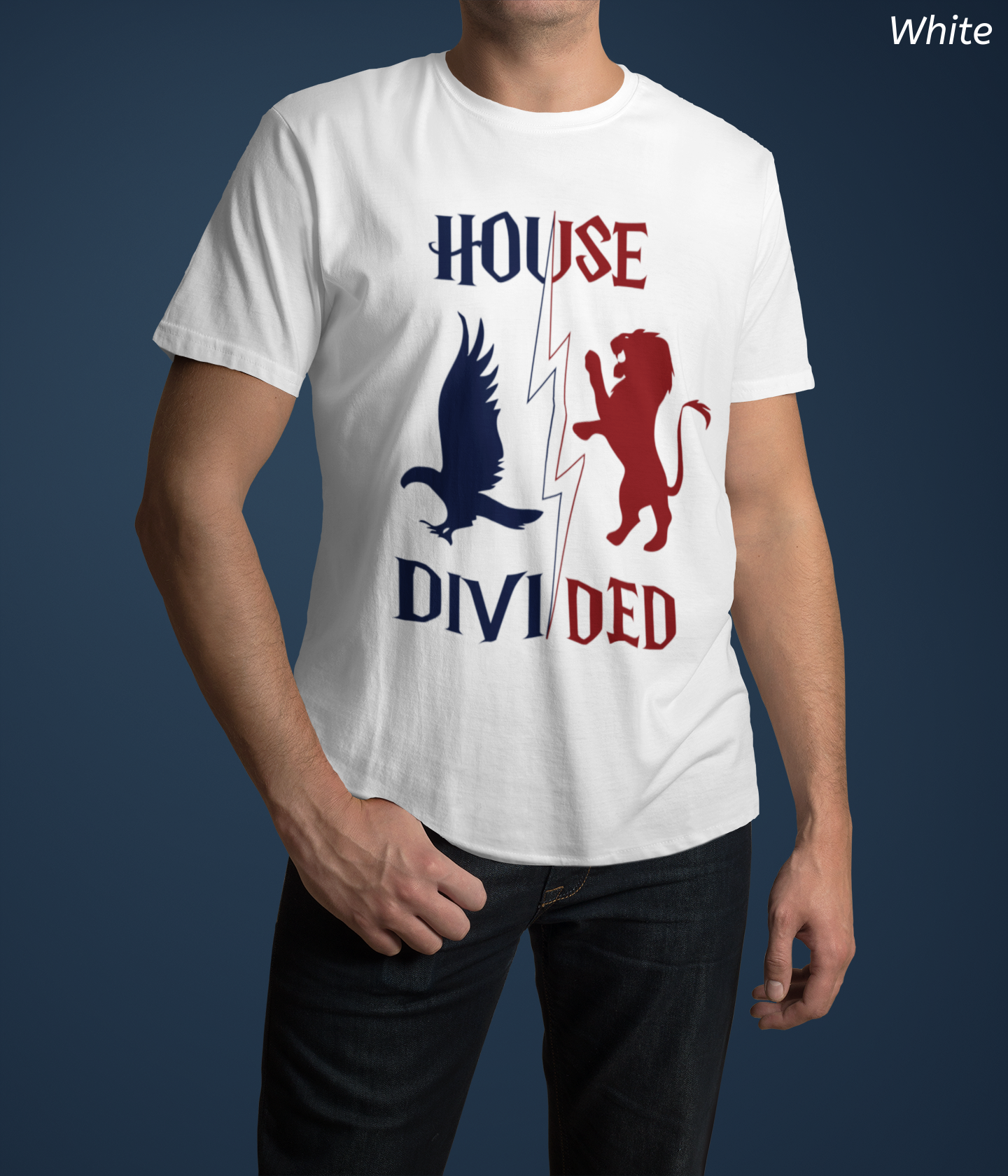 House Divided Rivalry Shirt- Lion + Raven Wizardcore Couple Tee
