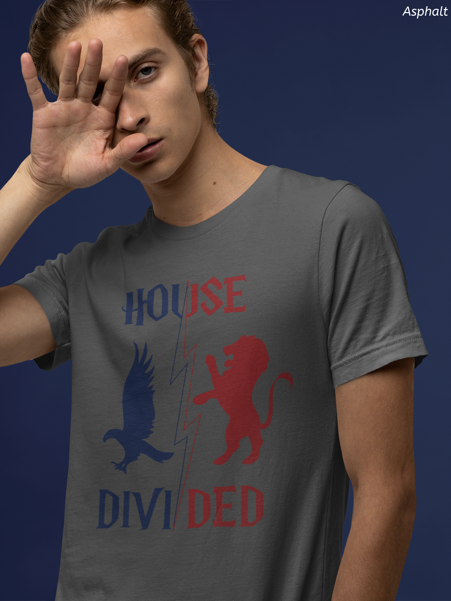 House Divided Rivalry Shirt- Lion + Raven Wizardcore Couple Tee