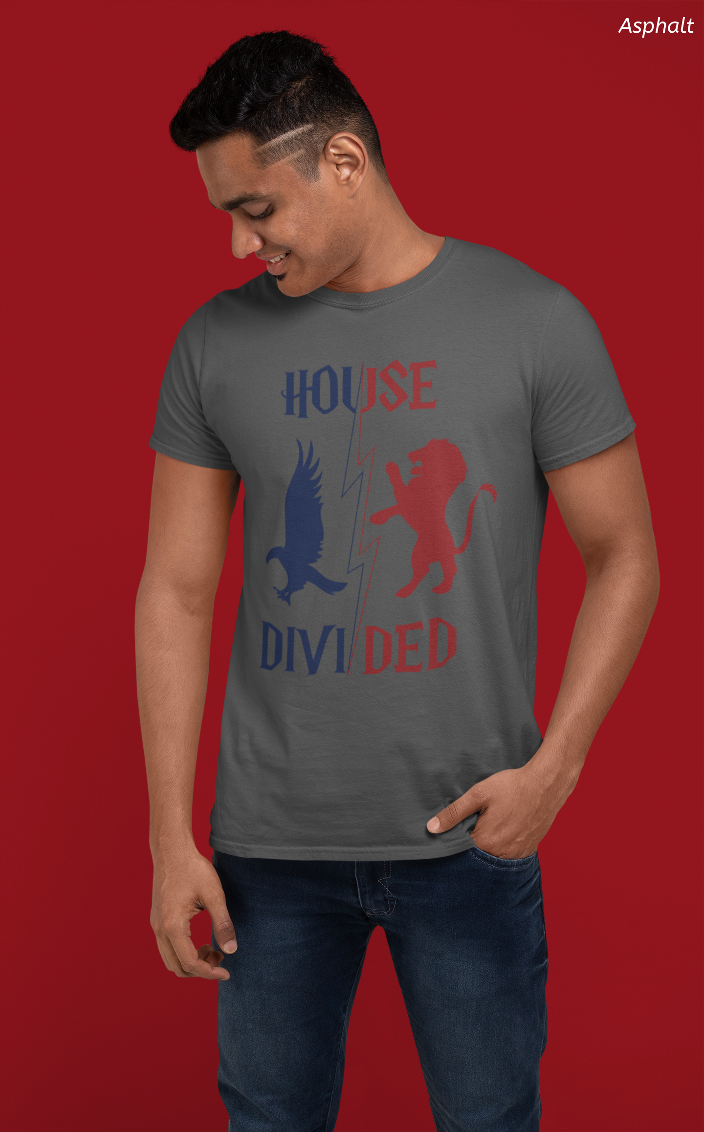 House Divided Rivalry Shirt- Lion + Raven Wizardcore Couple Tee