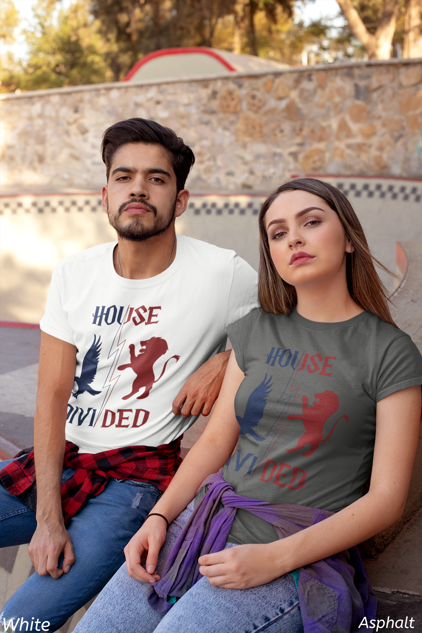 House Divided Rivalry Shirt- Lion + Raven Wizardcore Couple Tee