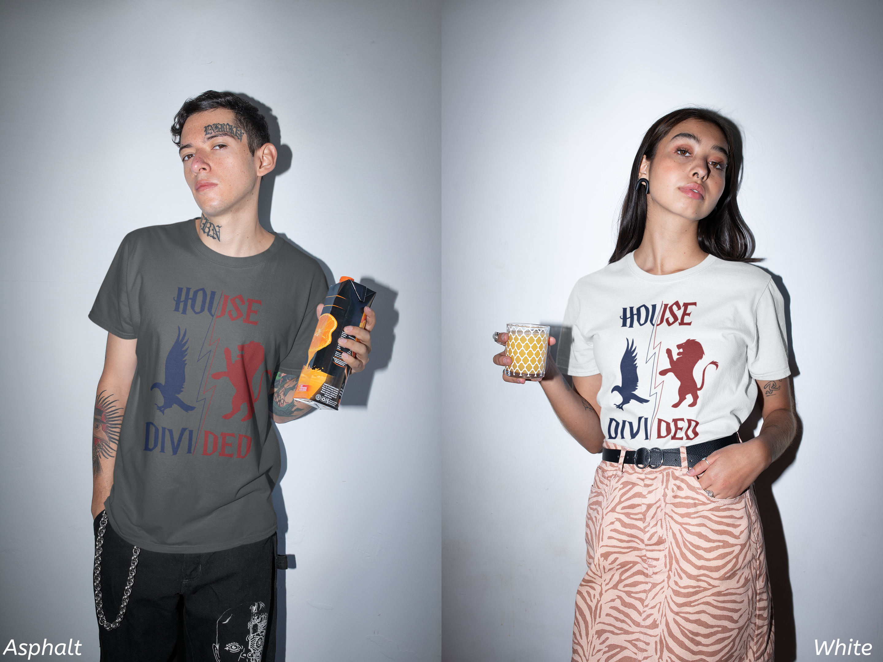 House Divided Rivalry Shirt- Lion + Raven Wizardcore Couple Tee