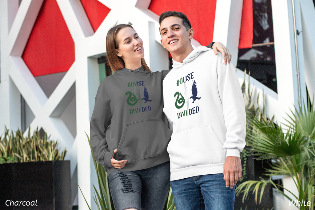 House Divided Rivalry Hoodie- Serpent + Raven Wizardcore Couple Hoodie