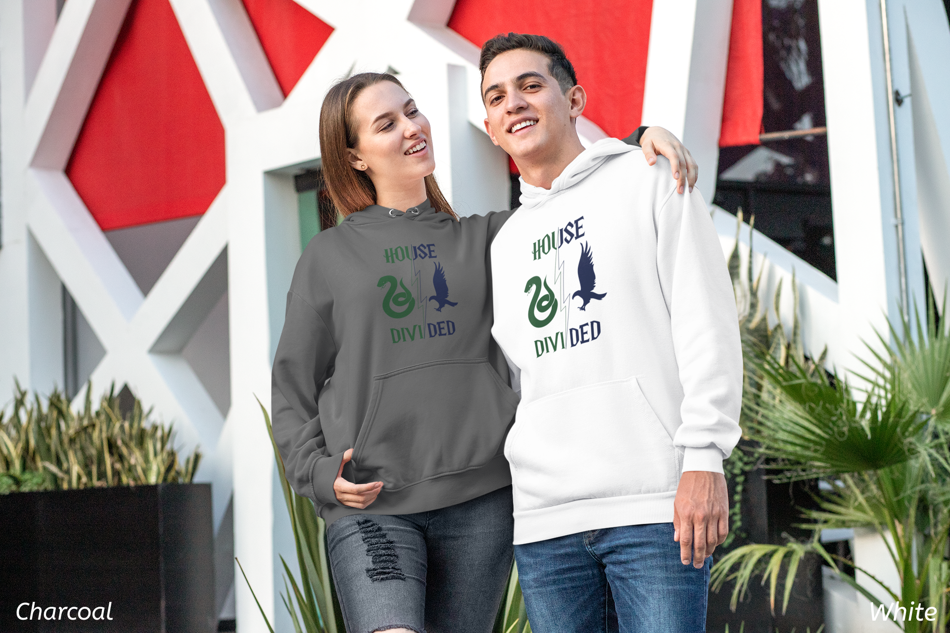 House Divided Rivalry Hoodie- Serpent + Raven Wizardcore Couple Hoodie