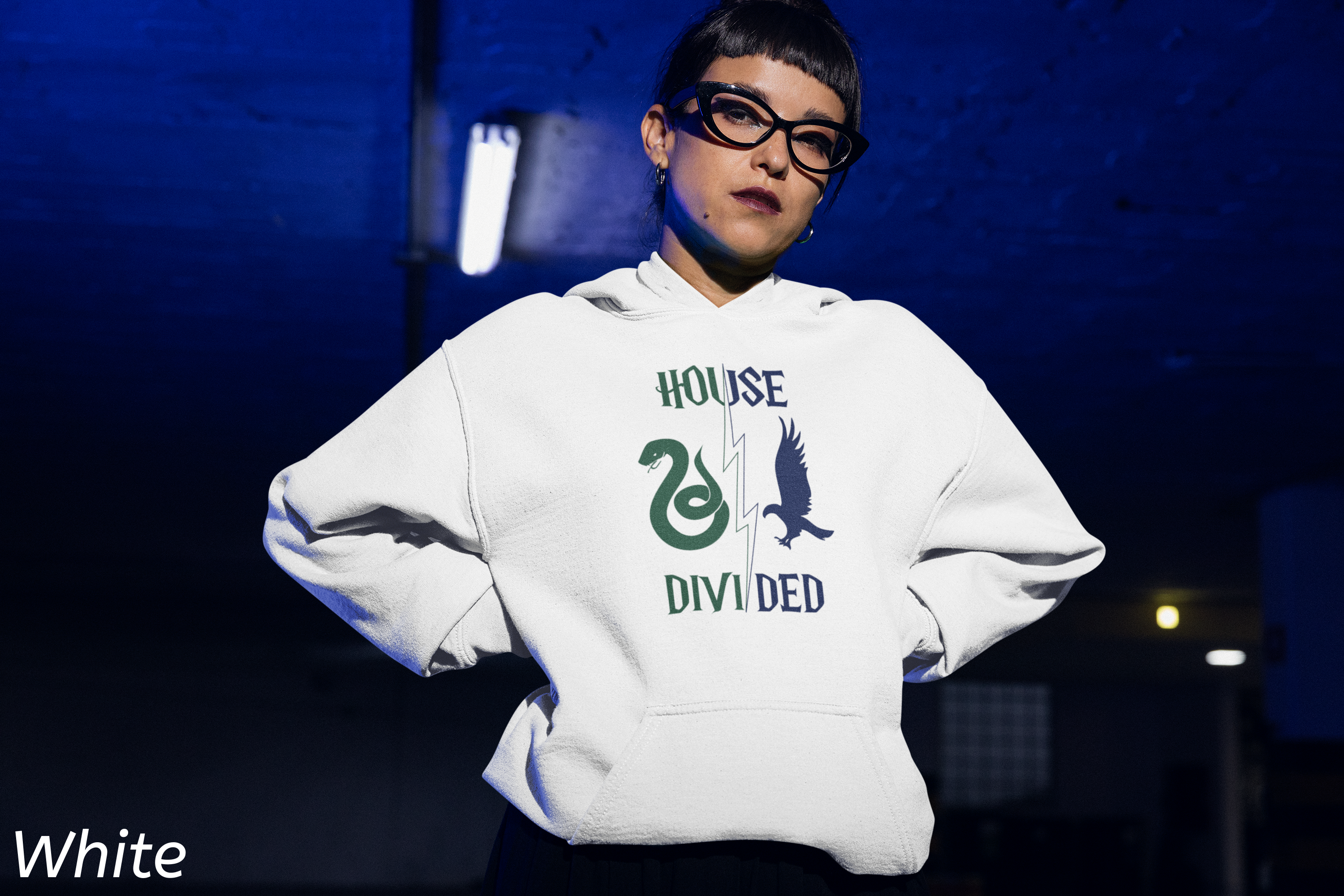 House Divided Rivalry Hoodie- Serpent + Raven Wizardcore Couple Hoodie