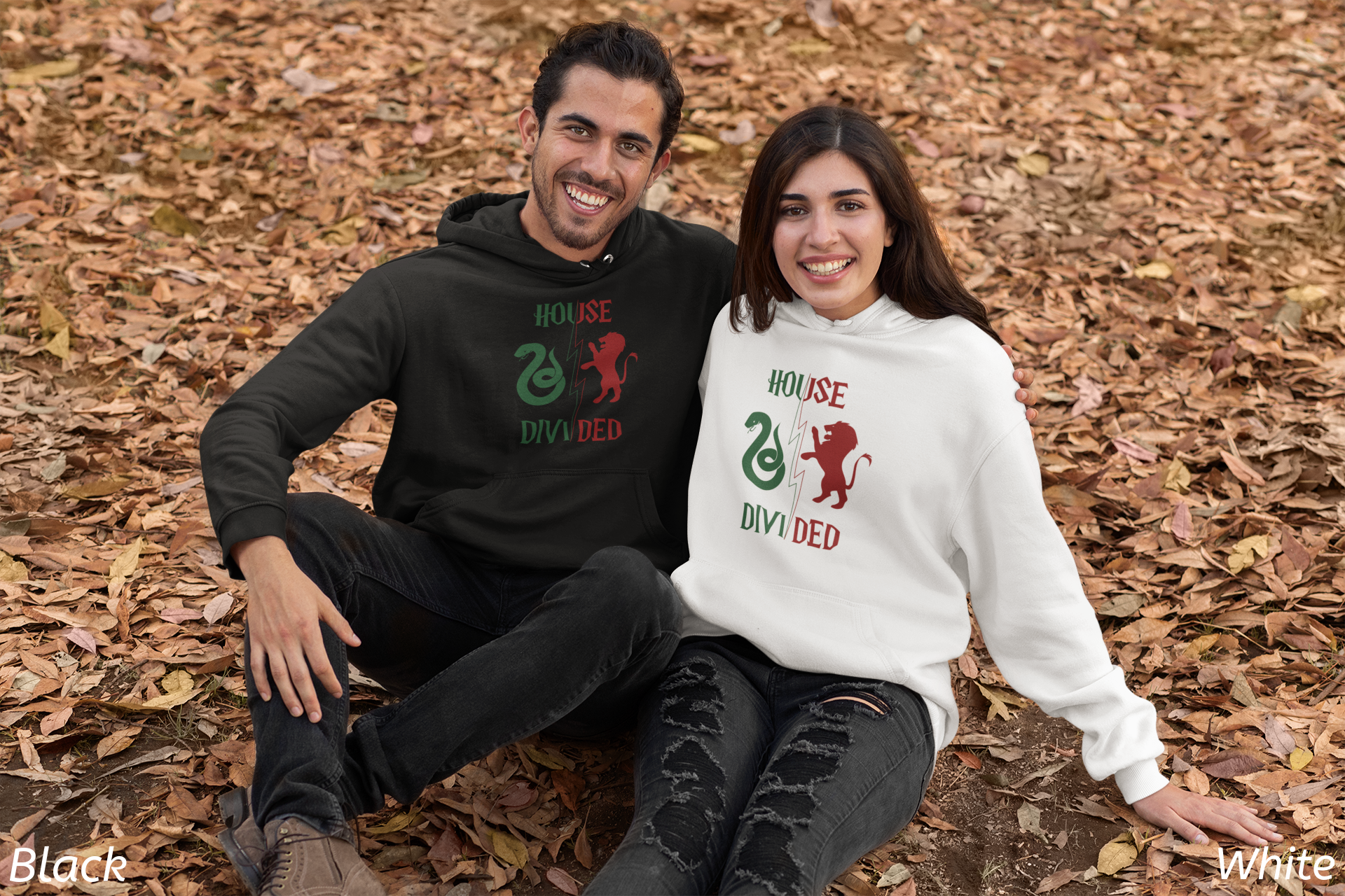 House Divided Rivalry Hoodie- Serpent + Lion Wizardcore Couple Hoodie