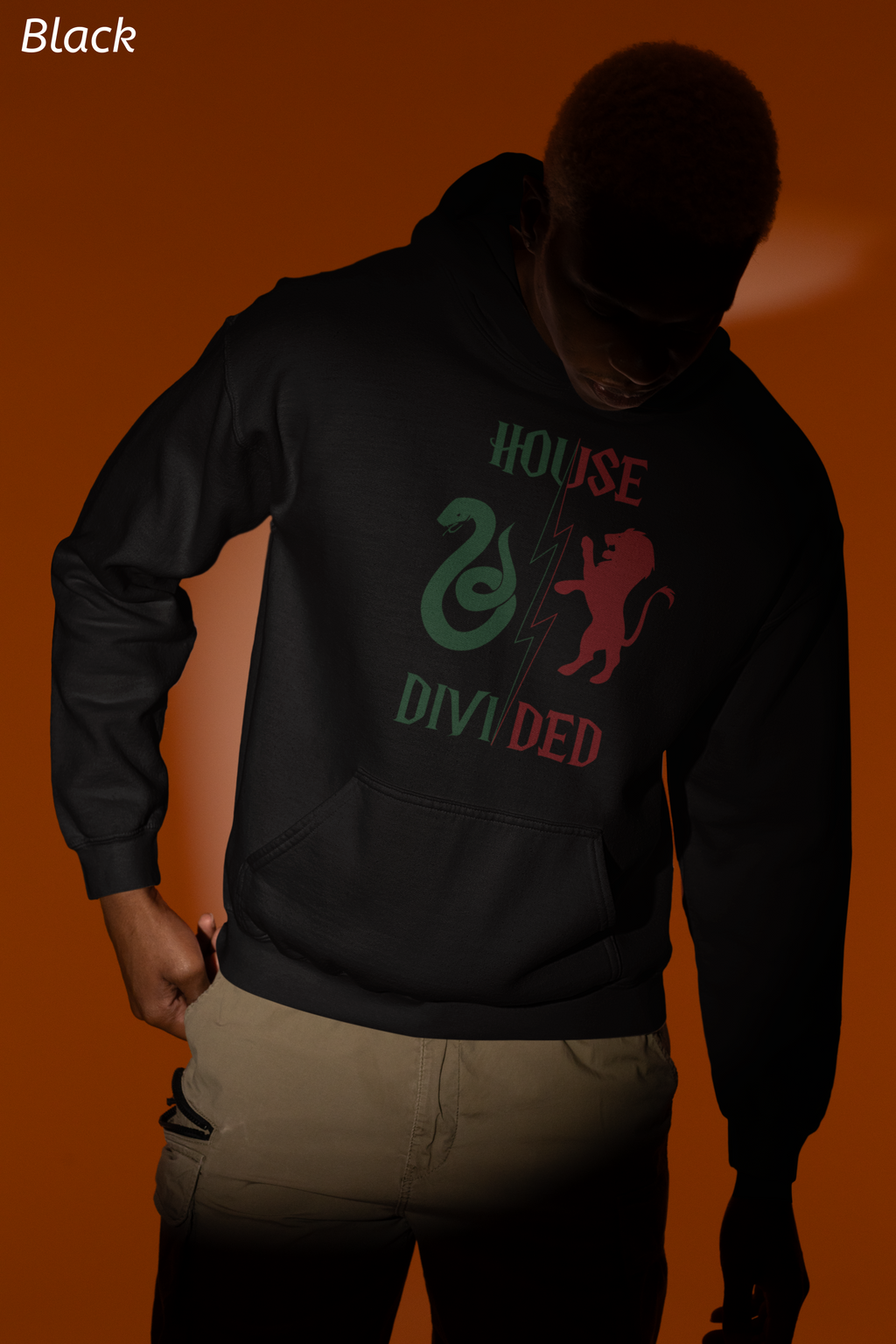 House Divided Rivalry Hoodie- Serpent + Lion Wizardcore Couple Hoodie
