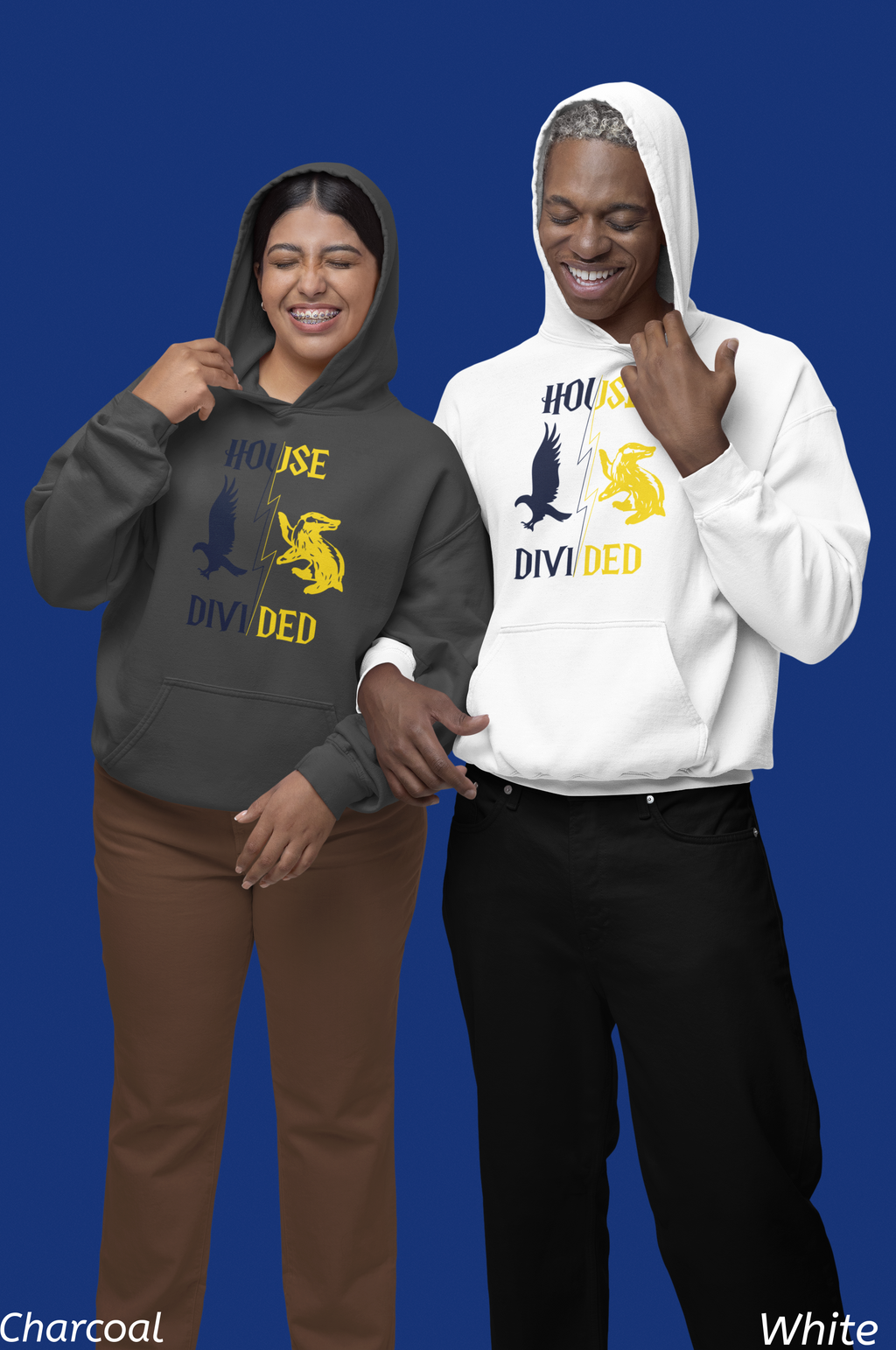 House Divided Rivalry Hoodie- Raven + Badger Wizardcore Couple Hoodie