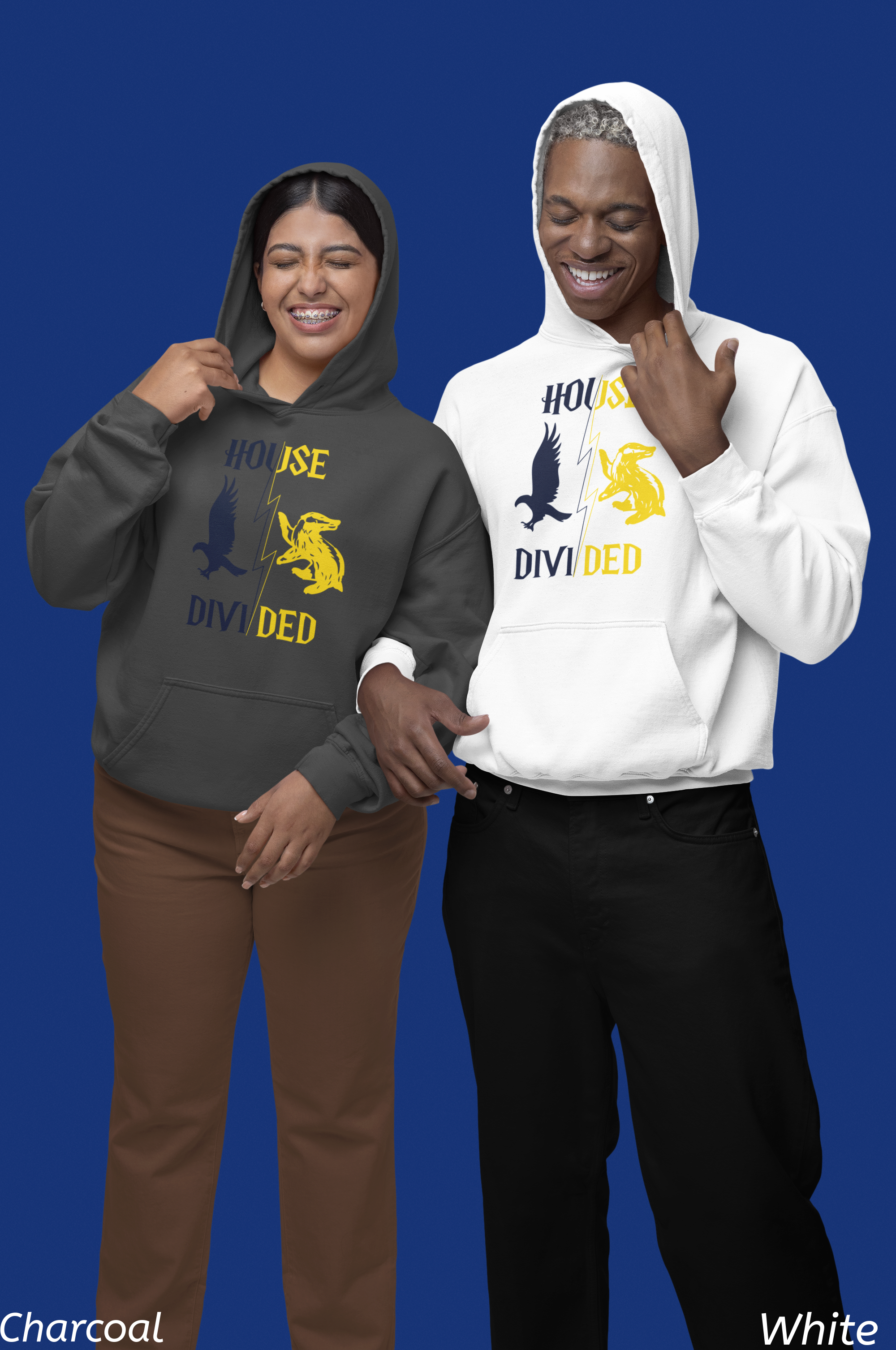 House Divided Rivalry Hoodie- Raven + Badger Wizardcore Couple Hoodie