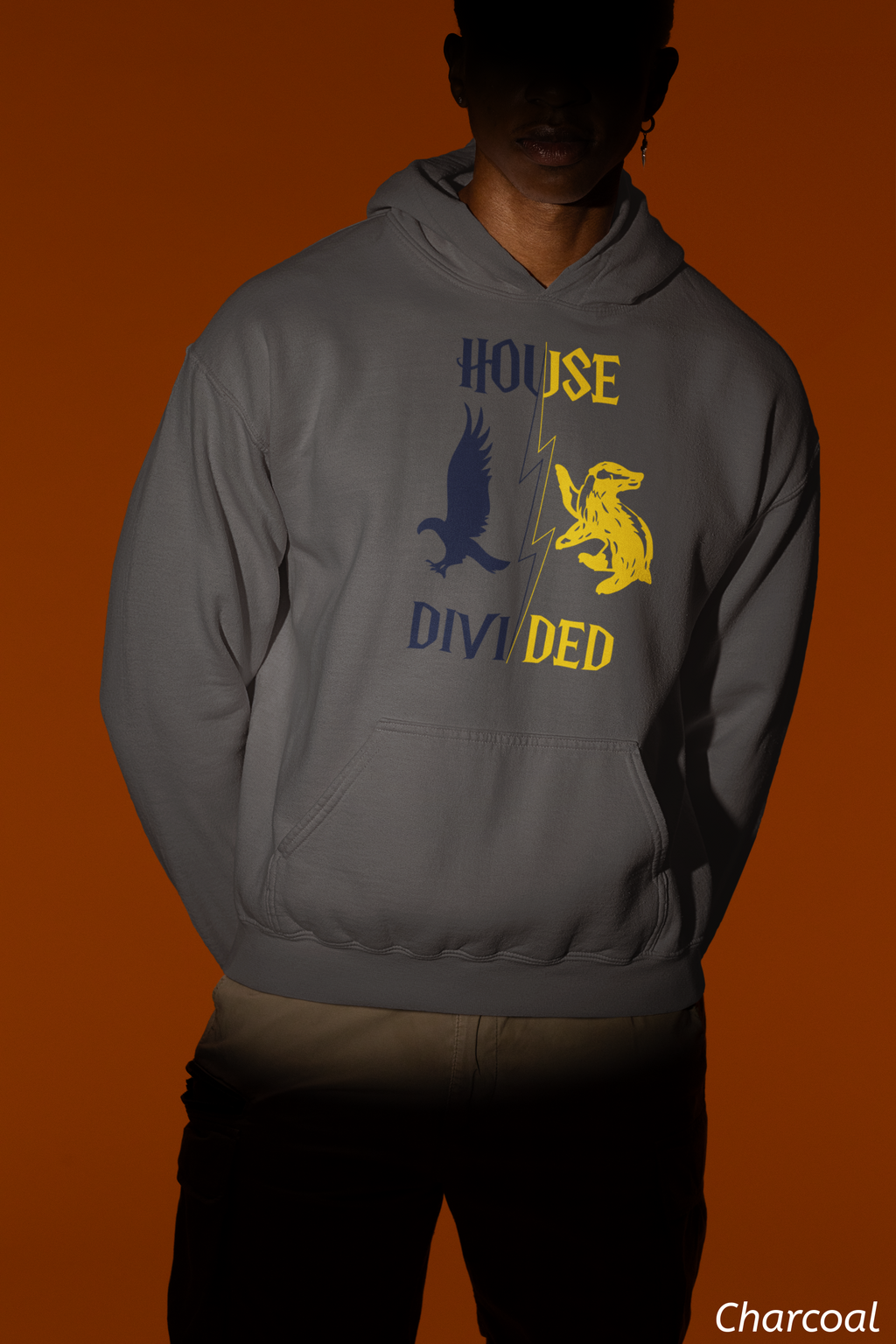 House Divided Rivalry Hoodie- Raven + Badger Wizardcore Couple Hoodie