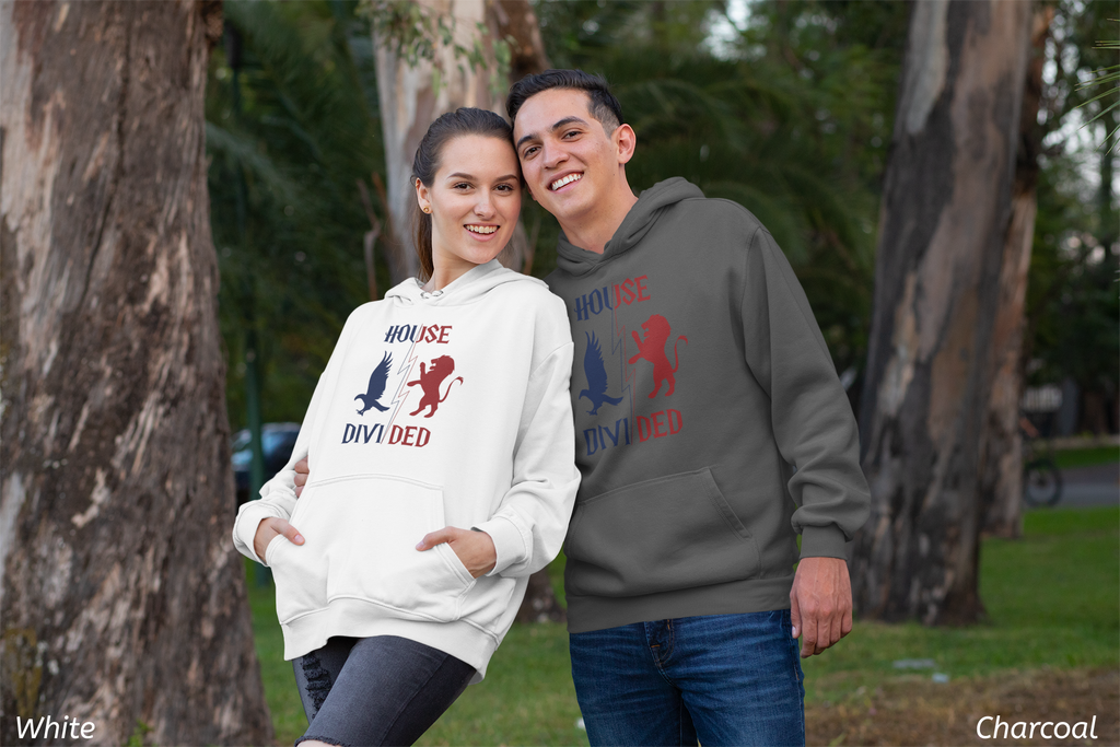 House Divided Rivalry Hoodie- Raven + Lion Wizardcore Couple Hoodie