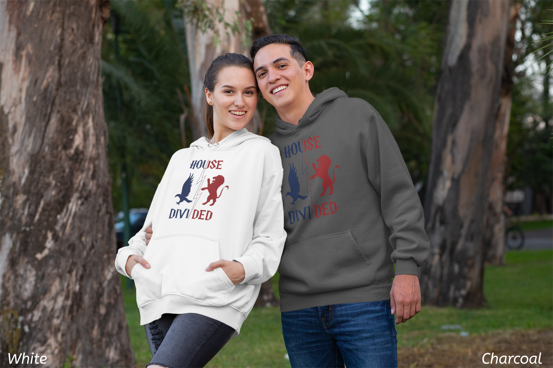 House Divided Rivalry Hoodie- Raven + Lion Wizardcore Couple Hoodie