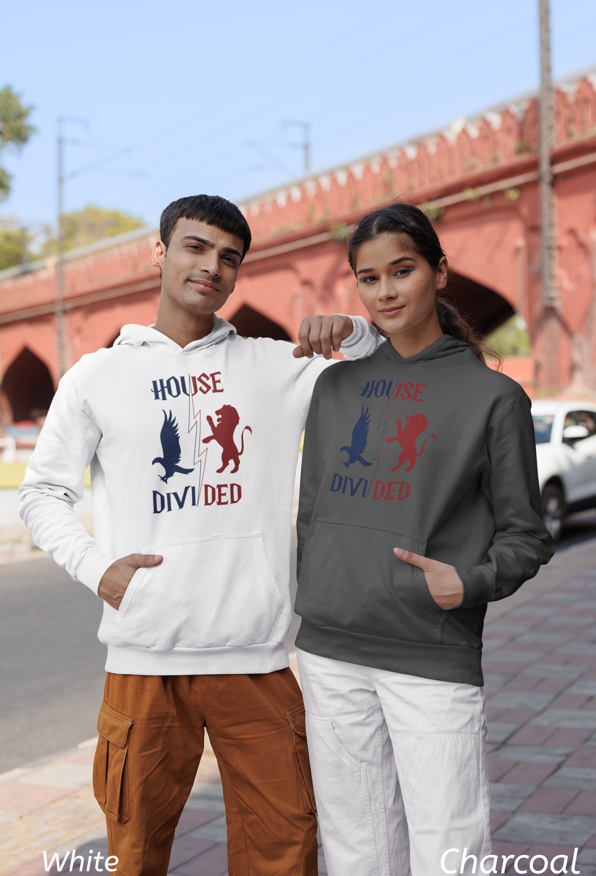 House Divided Rivalry Hoodie- Raven + Lion Wizardcore Couple Hoodie
